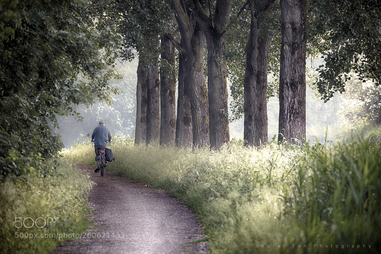 Canon EOS 6D sample photo. “summer cyclist” photography