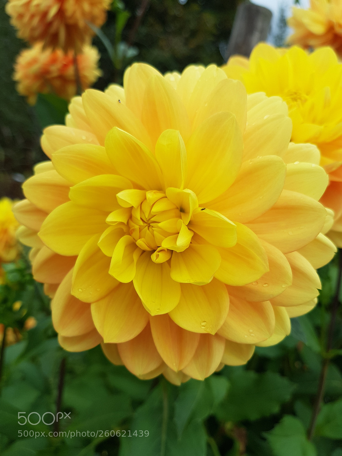 Samsung Galaxy S8 sample photo. Untitled photography