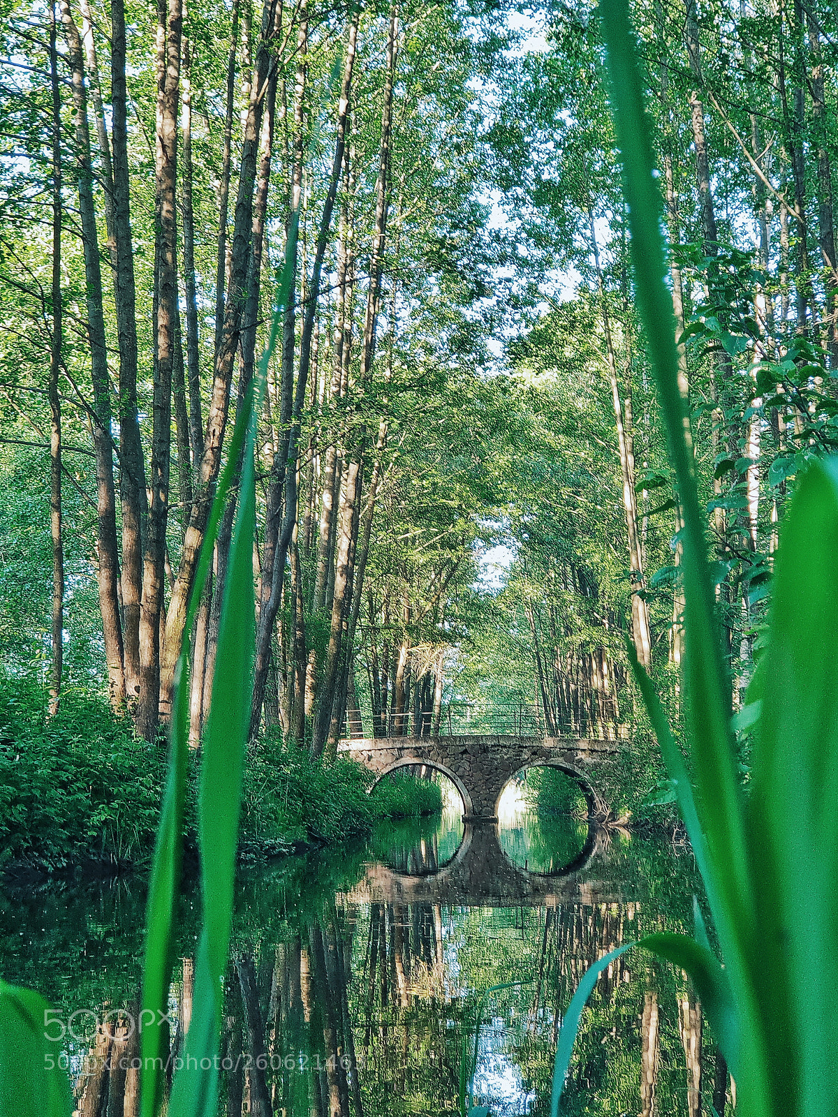Samsung Galaxy S9+ sample photo. Untitled photography