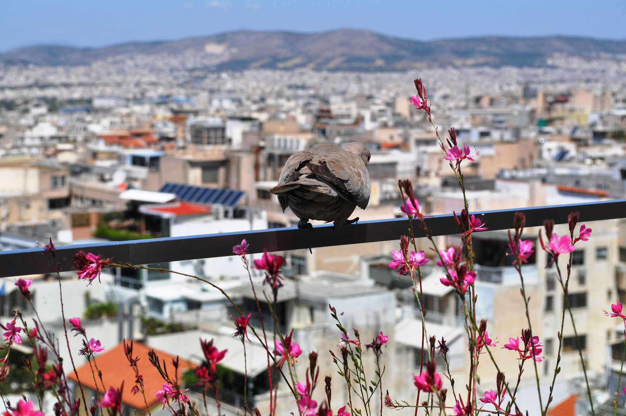 Nikon D5000 sample photo. Ready to jump photography
