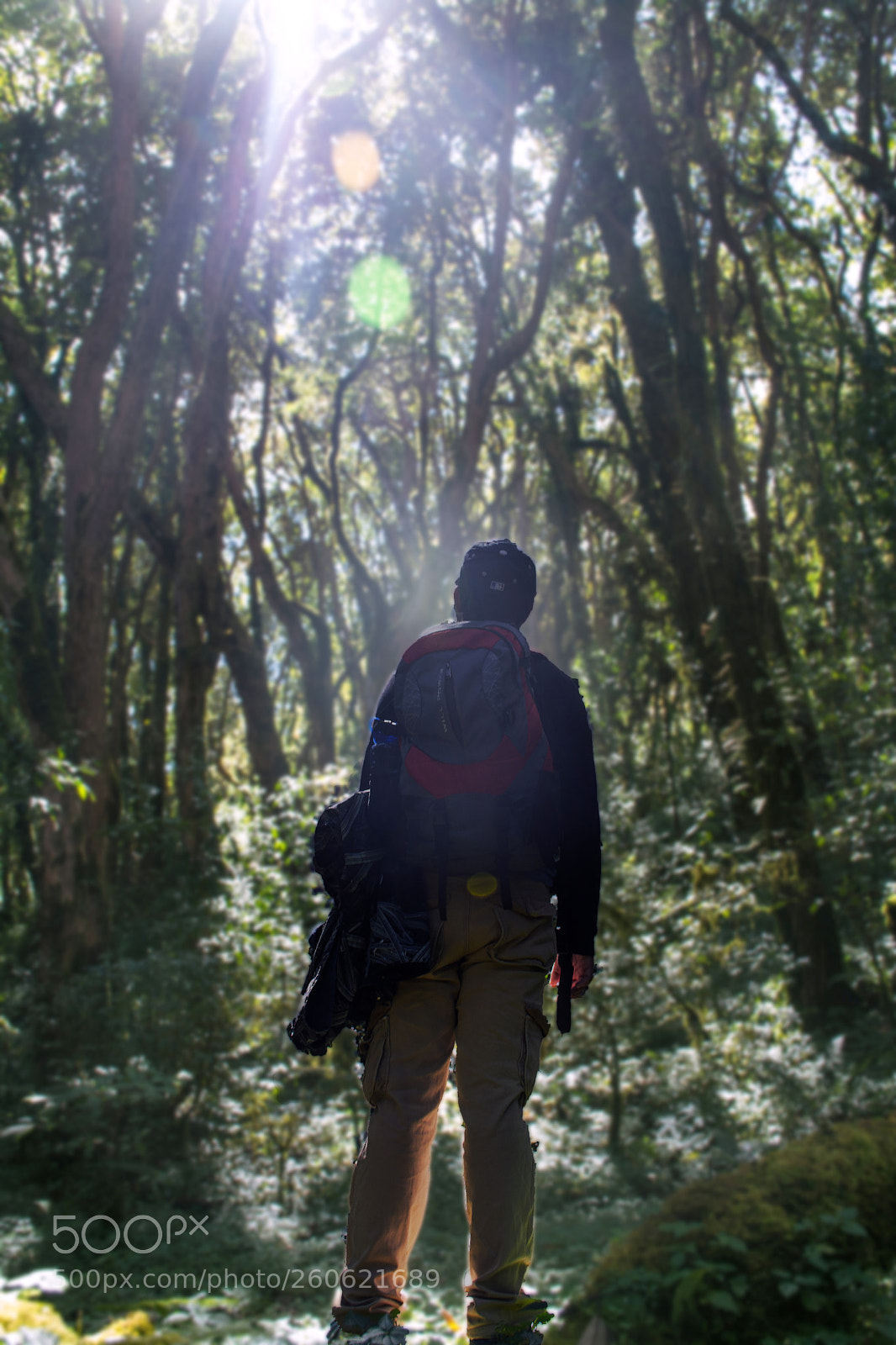 Nikon D7100 sample photo. I am an explorer photography