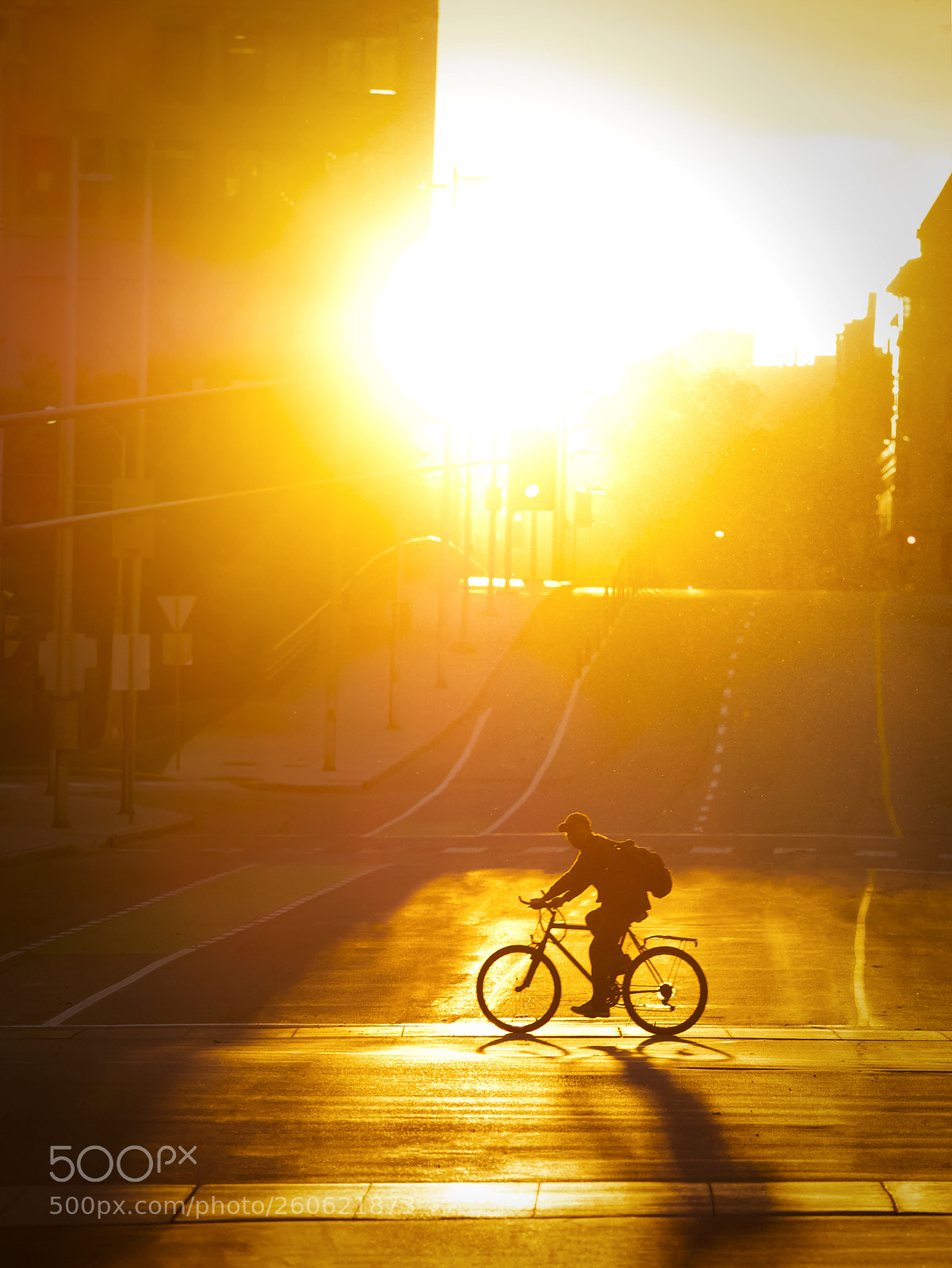 Olympus OM-D E-M1 Mark II sample photo. Rolling with the sun photography
