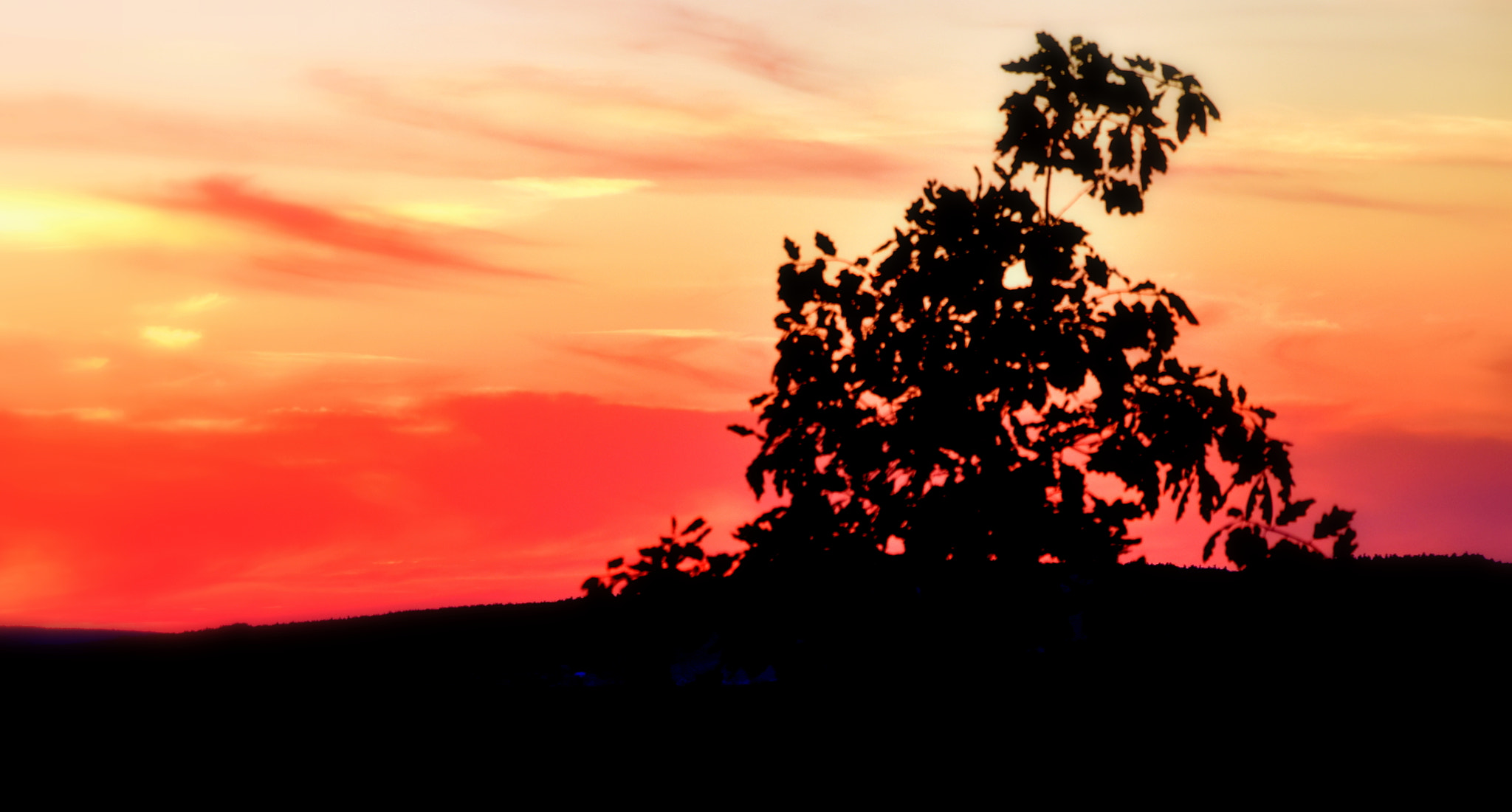 Nikon D5600 sample photo. Dfgdfgdfgdfgdfdfgdfgdf photography
