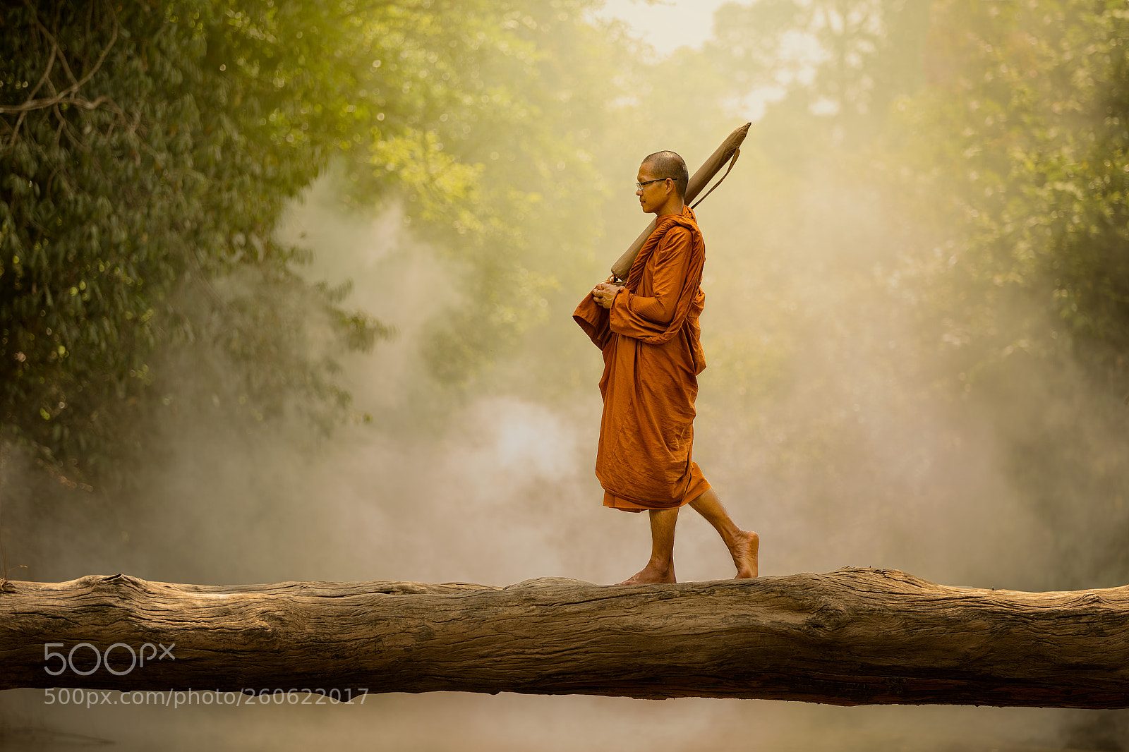 Canon EOS 6D sample photo. The walking monk2 photography