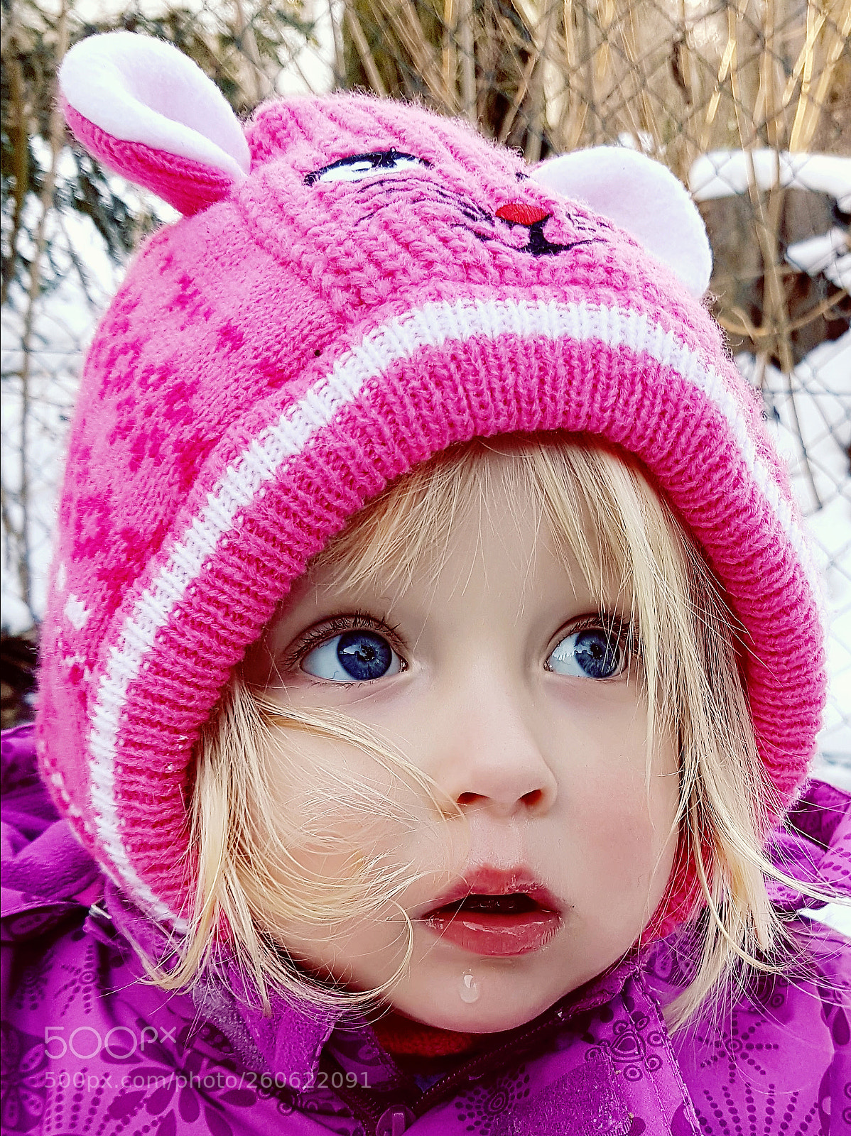 Samsung Galaxy S7 sample photo. The winter cold photography