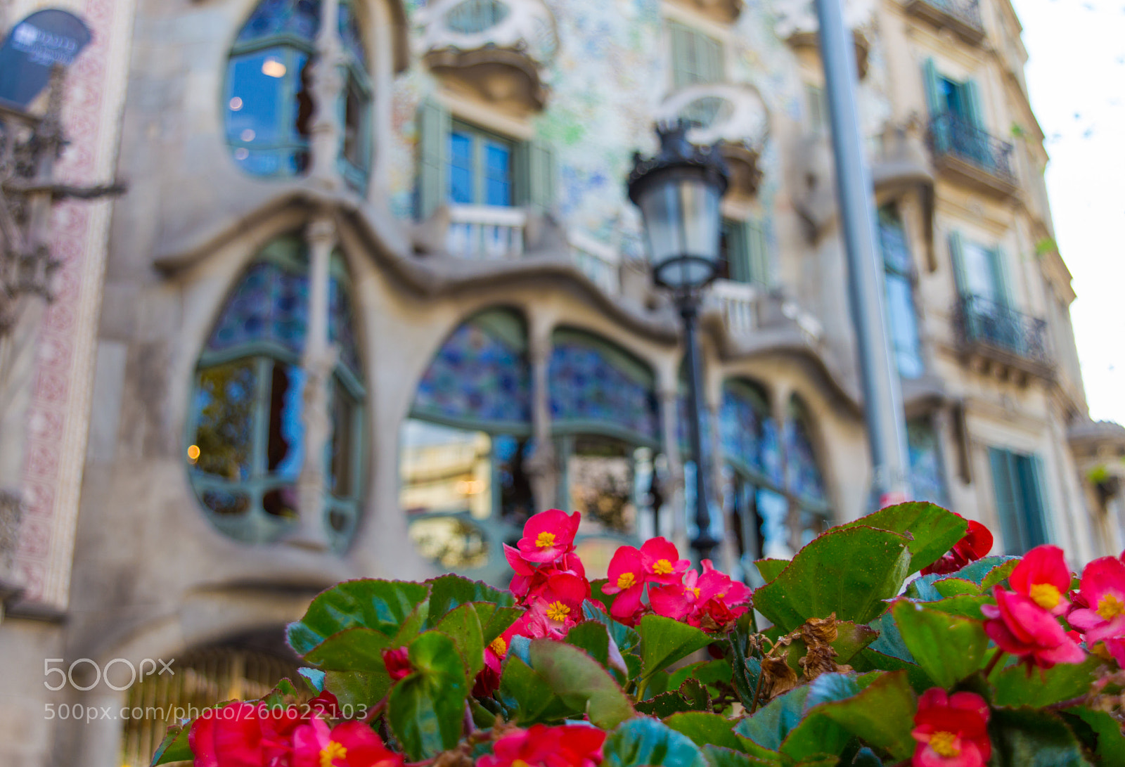 Nikon D3200 sample photo. Casa batlo photography