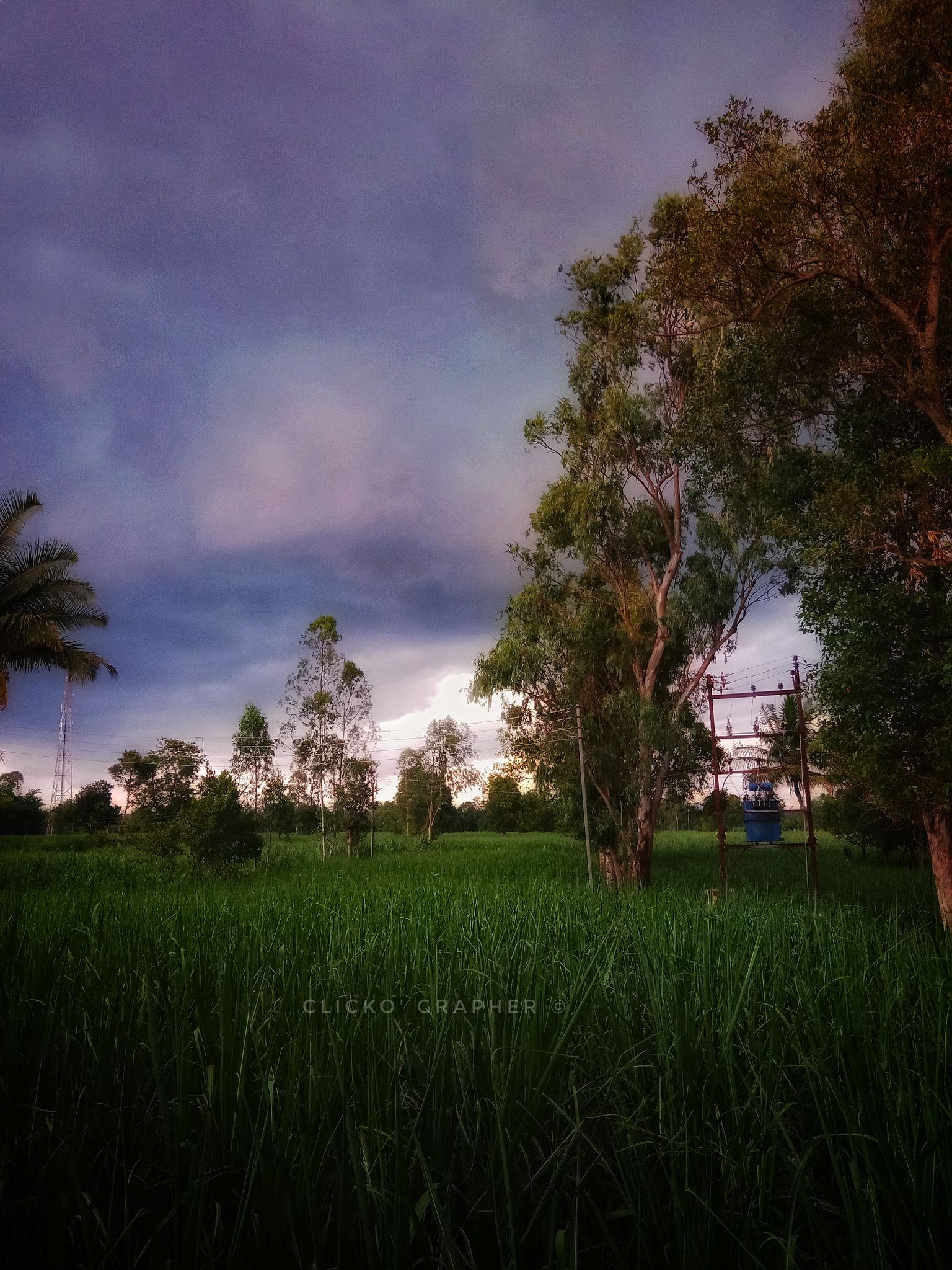 OPPO A83 sample photo. Awesome nature!! photography