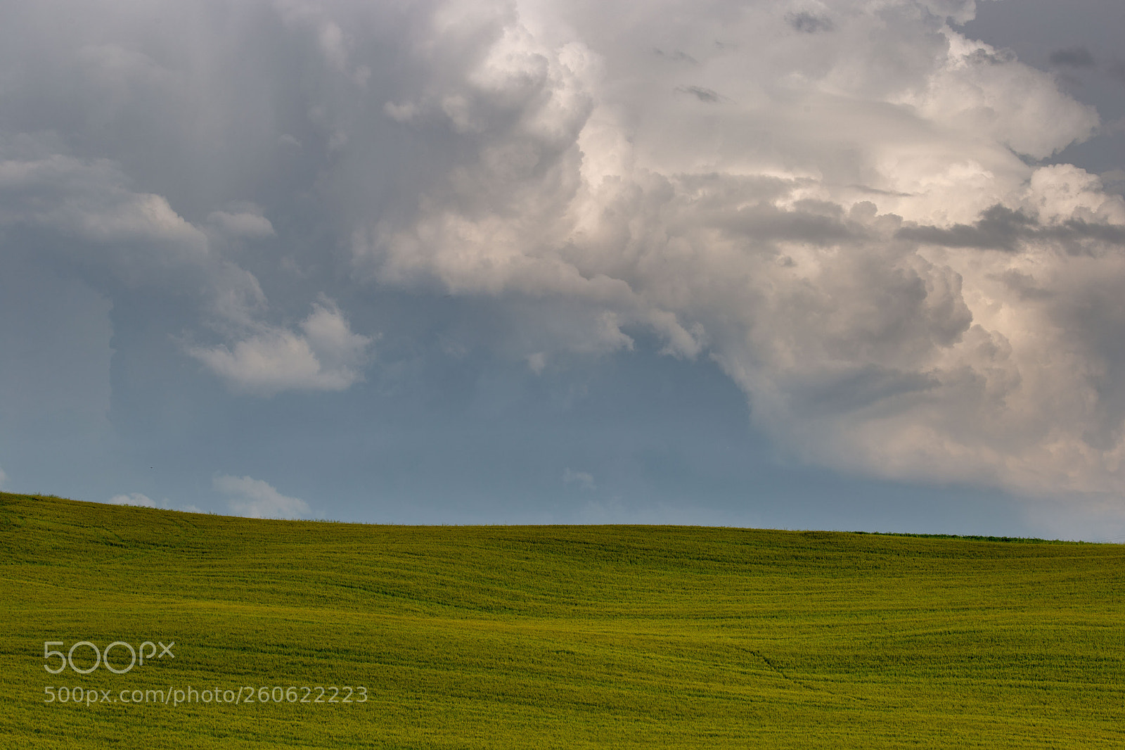 Canon EOS 6D sample photo. A thunderstorm is coming photography