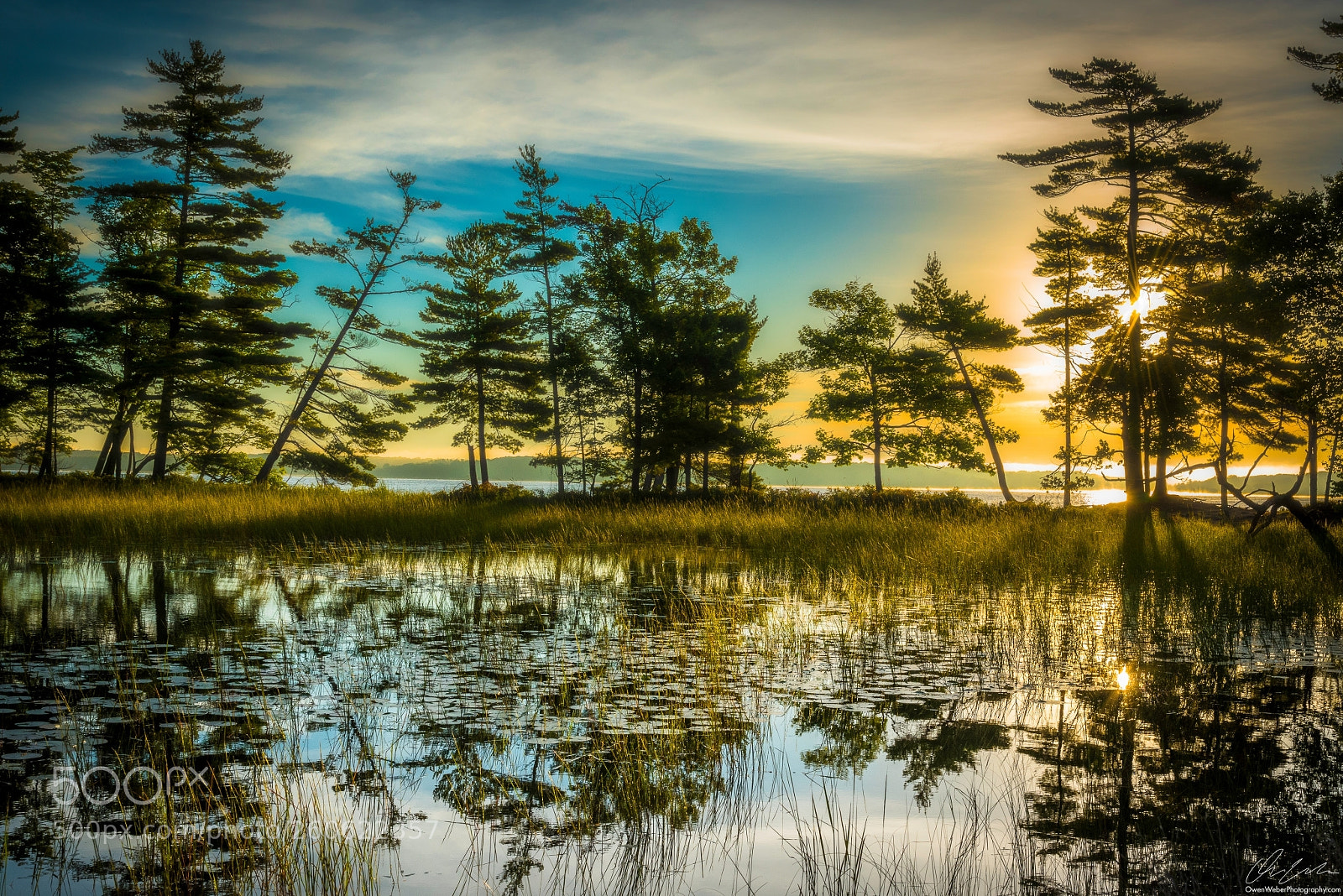 Nikon D750 sample photo. Morning sunburst on lost photography