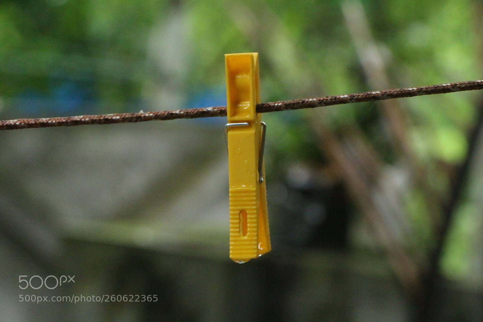 Canon EOS 70D sample photo. Solitude photography