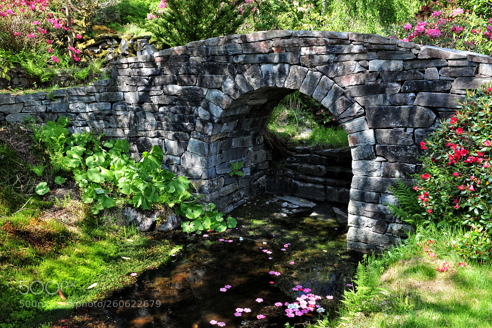 Nikon D300 sample photo. The bridge photography
