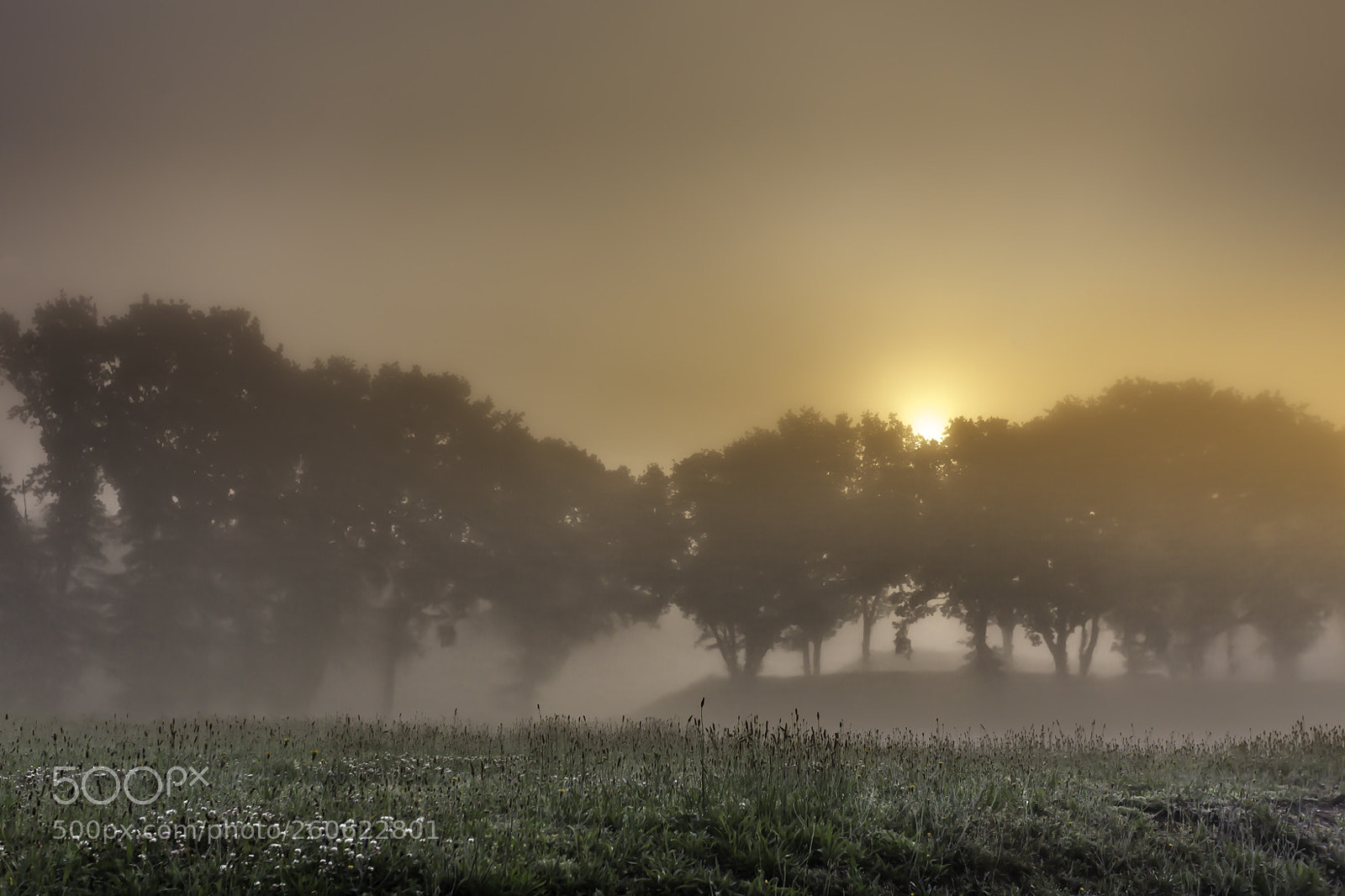 Canon EOS 6D sample photo. Fort de roovere photography