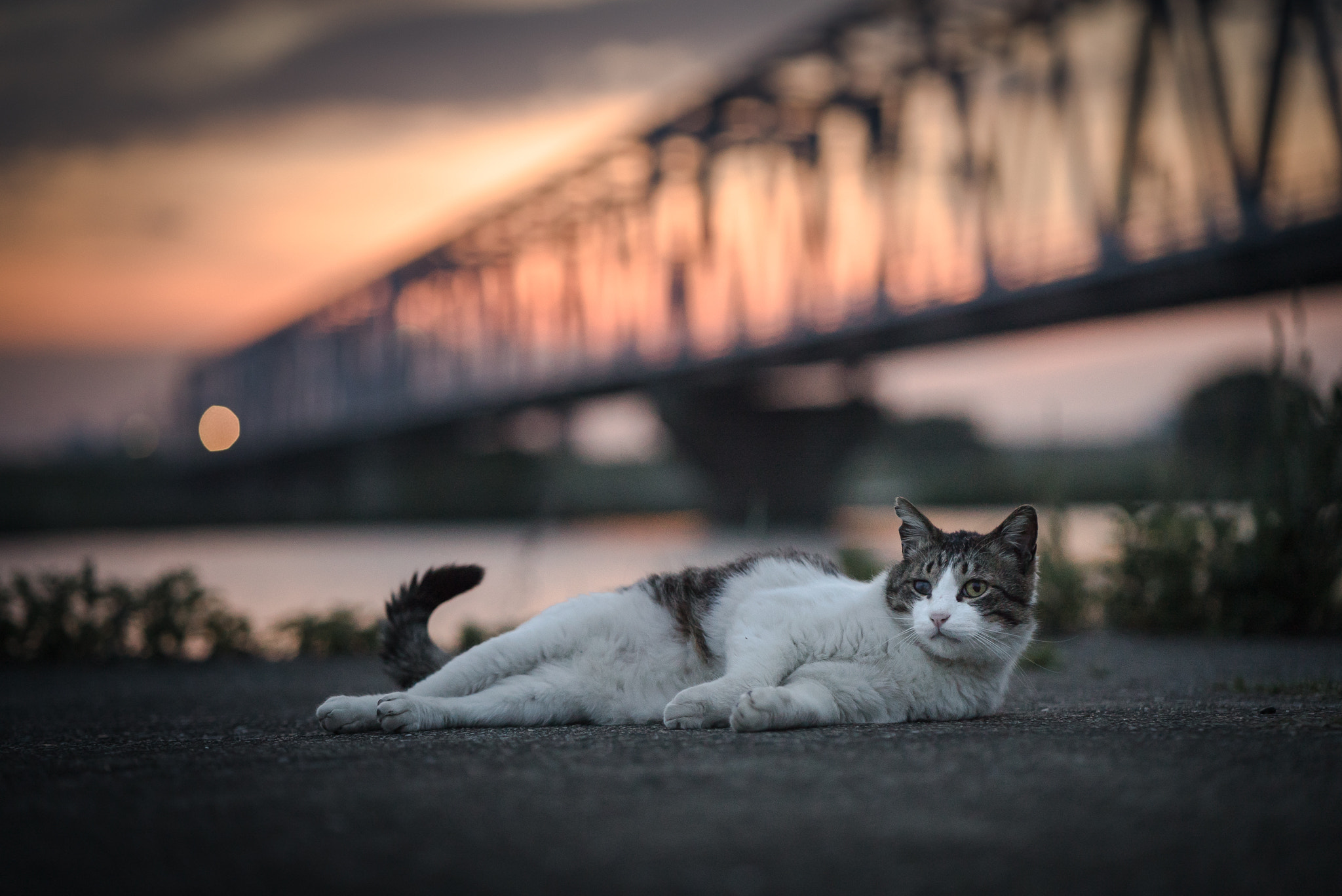 Sony a7S II sample photo. Posing photography