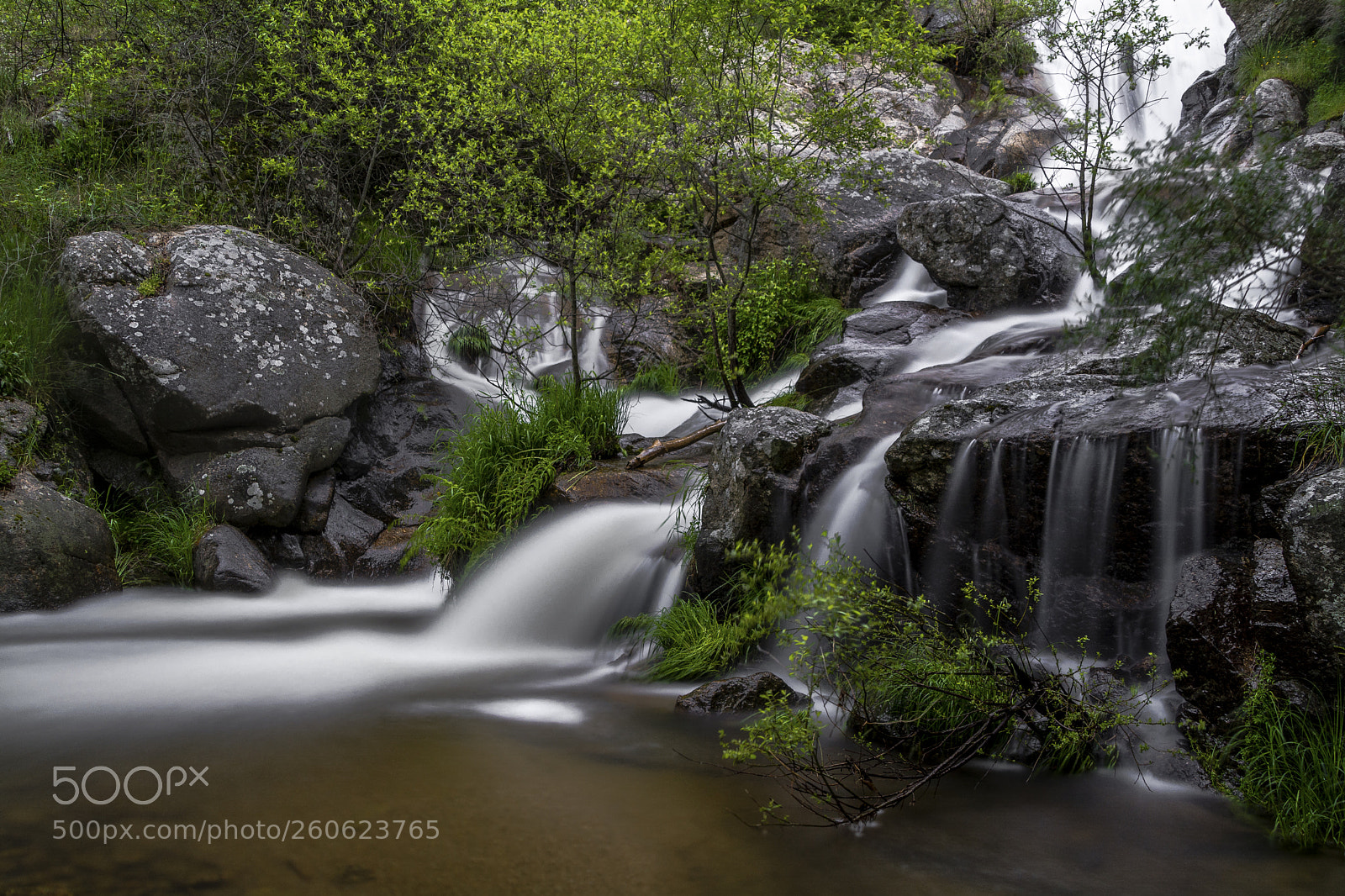 Nikon D5200 sample photo. Fresh spring water photography
