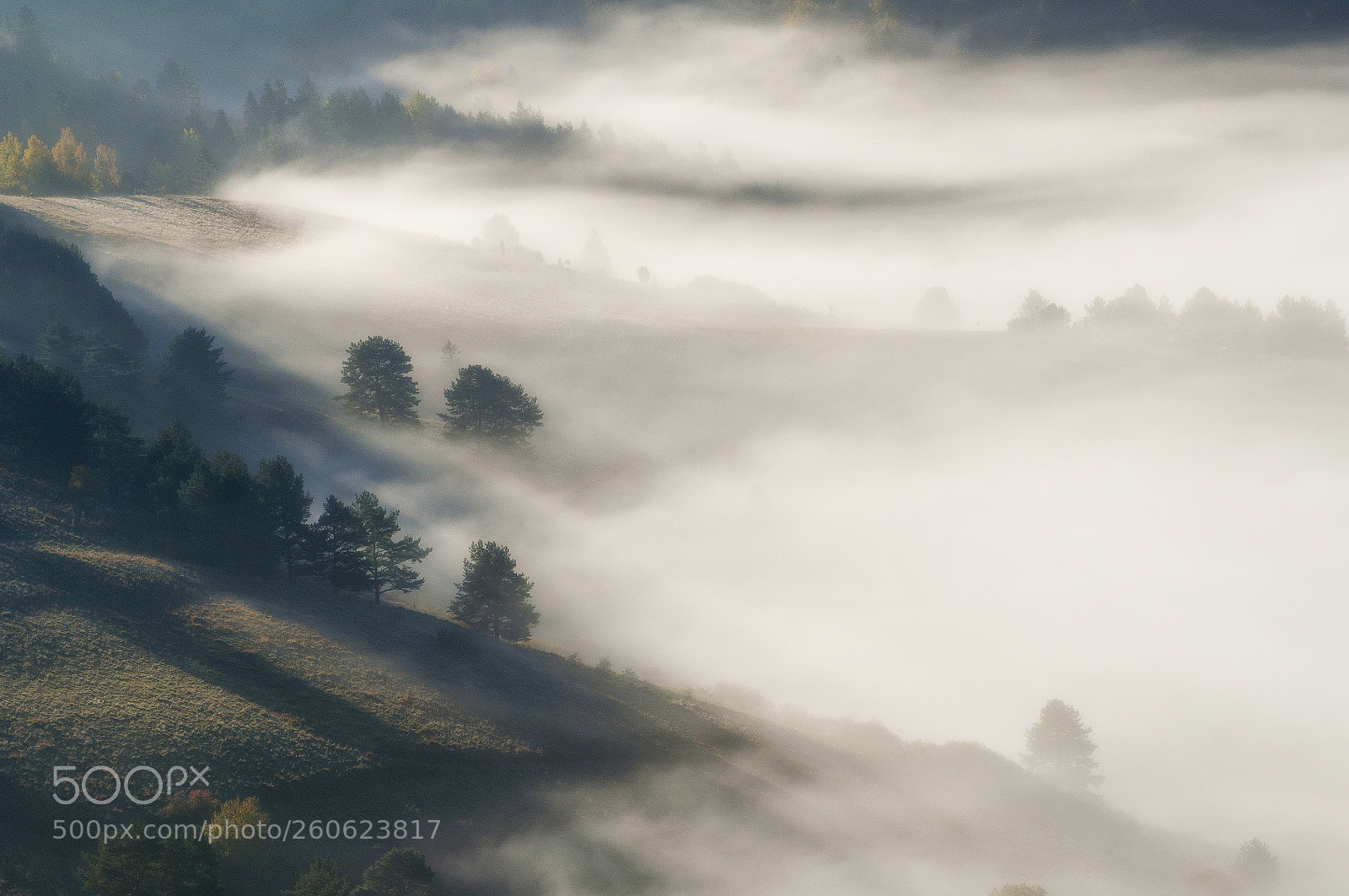 Nikon D5000 sample photo. Misty morning photography