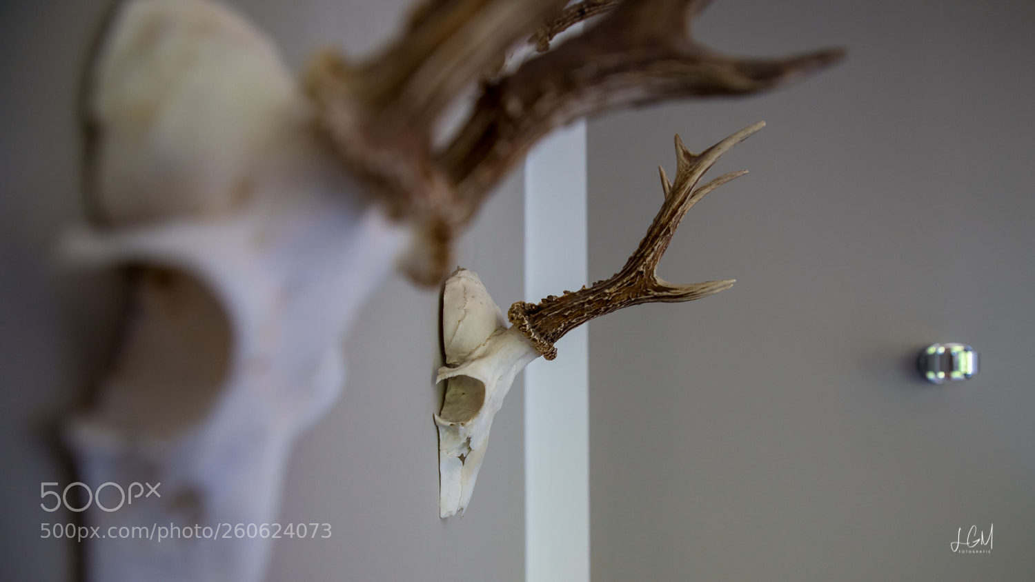 Canon EOS 6D Mark II sample photo. Teggernsee photography