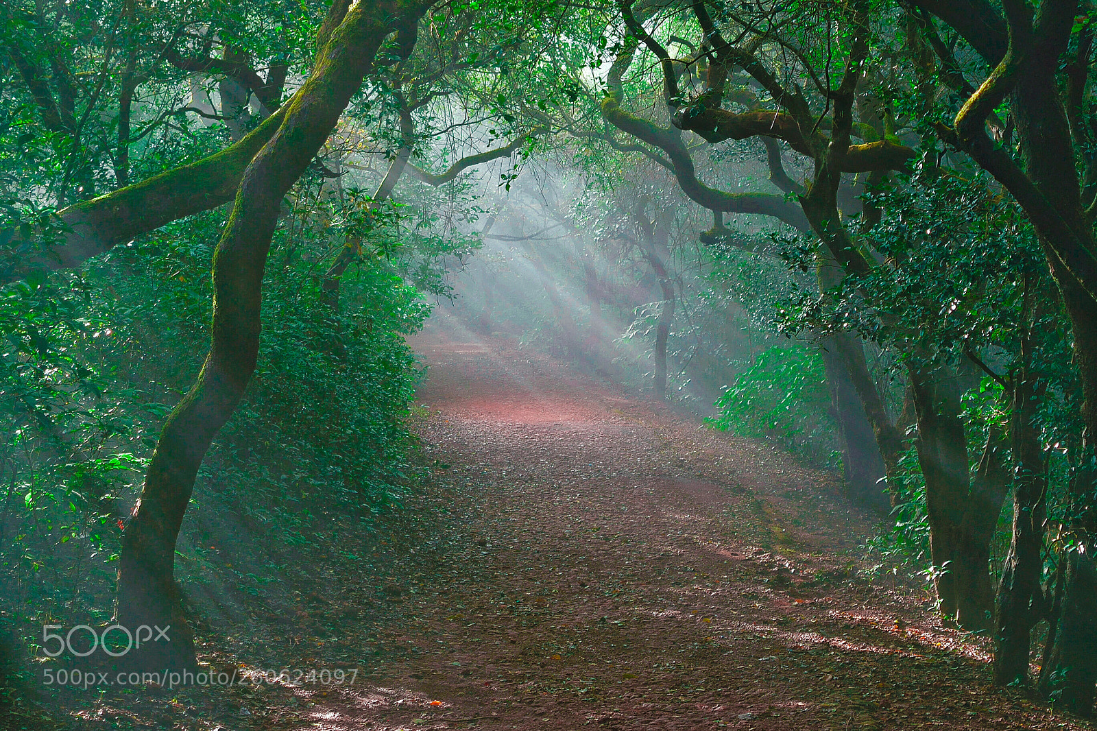 Nikon D5300 sample photo. Illuminated photography