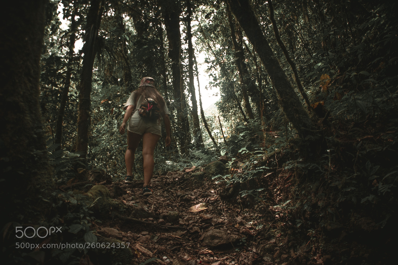 Nikon D7100 sample photo. Untitled photography