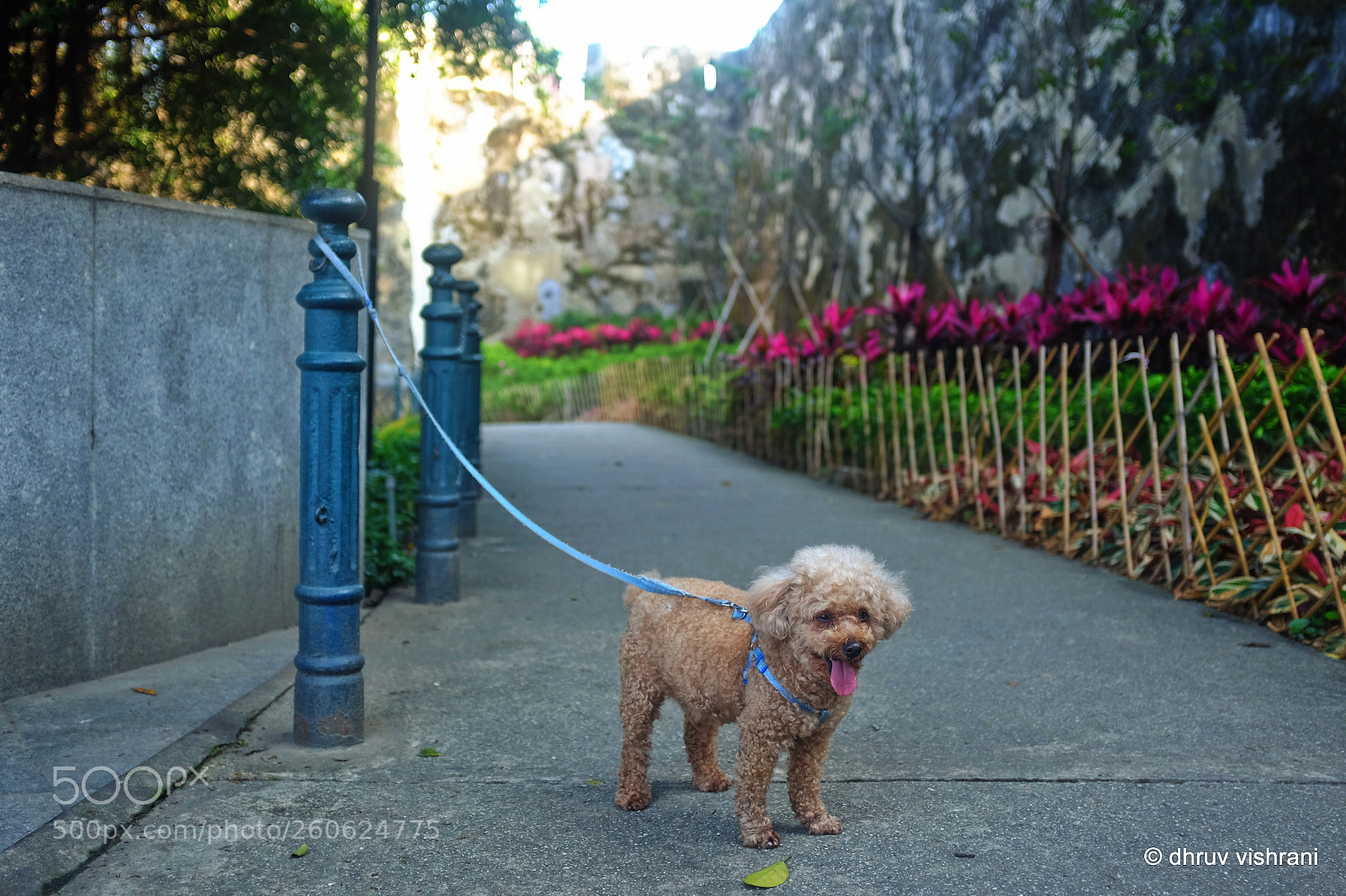 Fujifilm X100S sample photo. Trapped in toyland photography