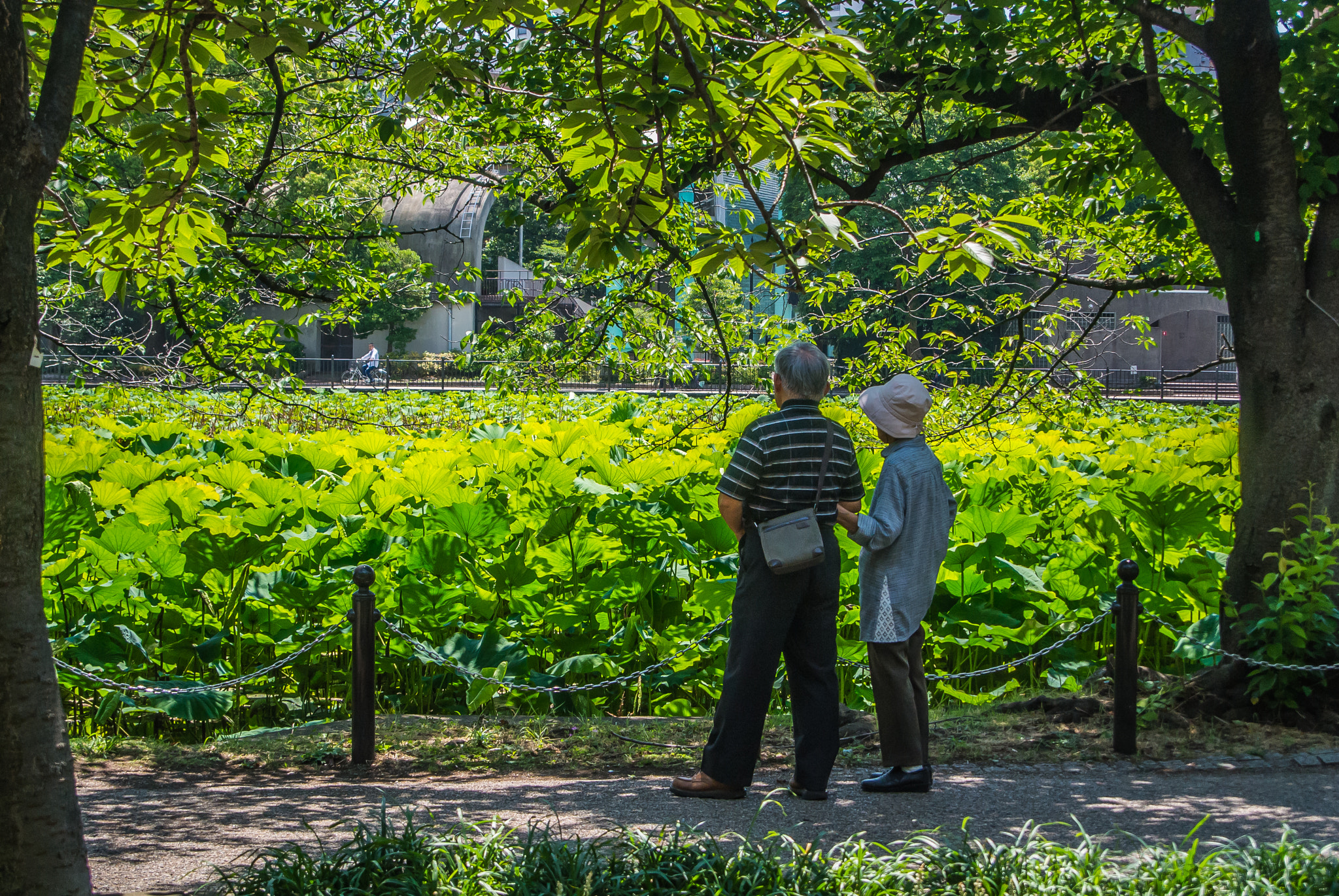 Nikon 1 V1 sample photo. Two people along the pond photography