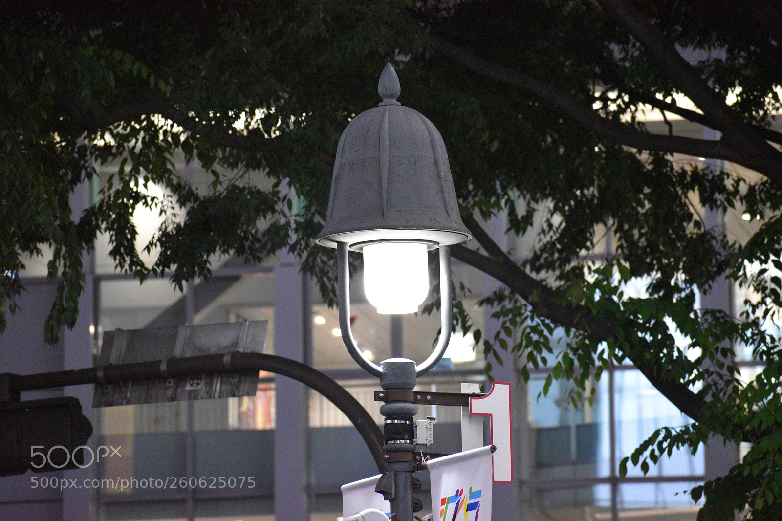 Nikon D5600 sample photo. City light photography
