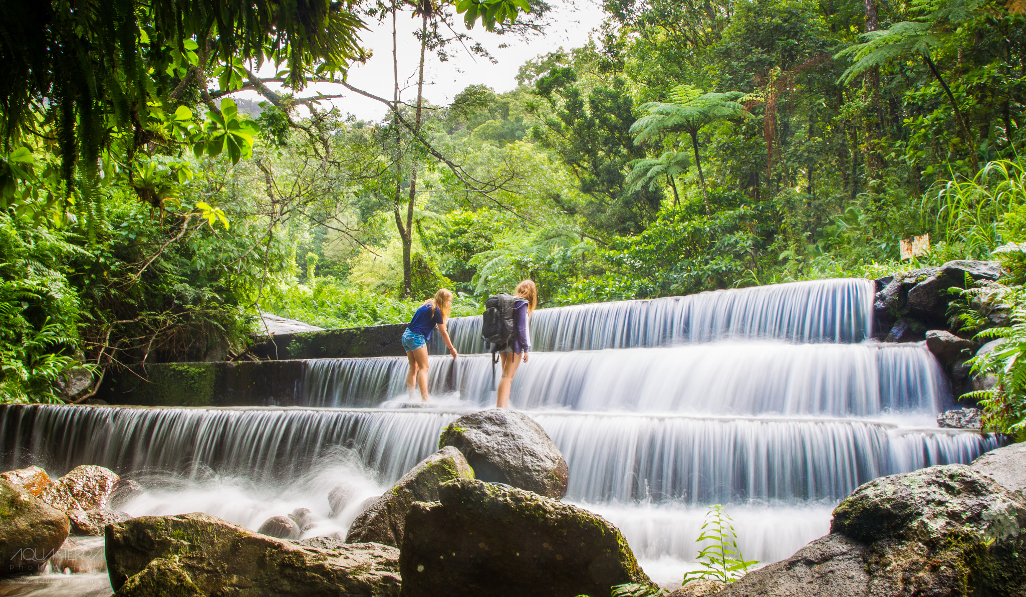 Canon EOS-1D Mark IV sample photo. Forêt tropicale photography