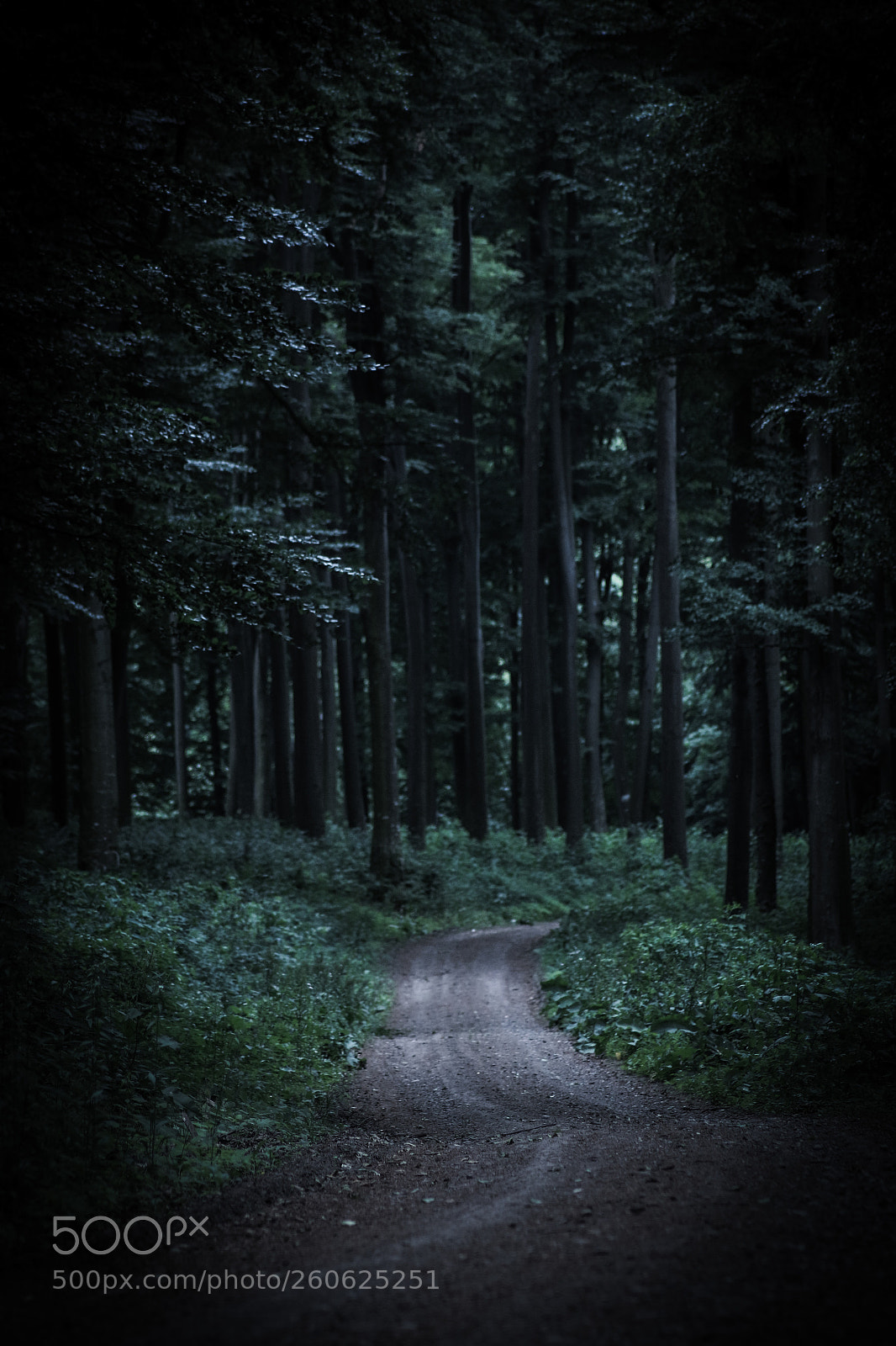 Canon EOS 70D sample photo. Untitled photography