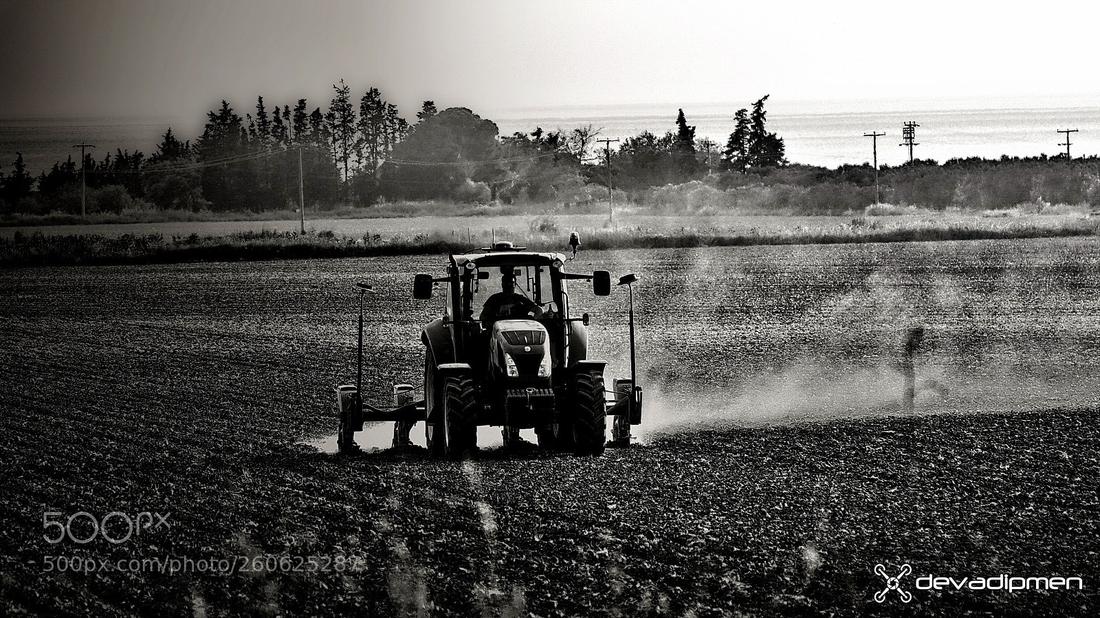Sony SLT-A55 (SLT-A55V) sample photo. Harvest time / 030618058 photography