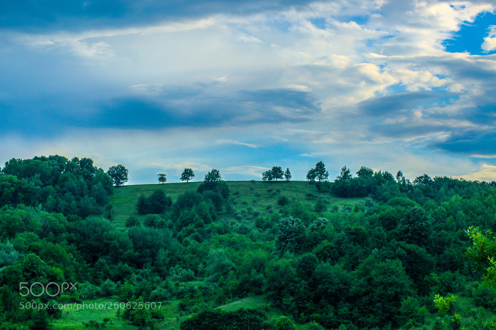 Canon EOS 70D sample photo. Untitled photography