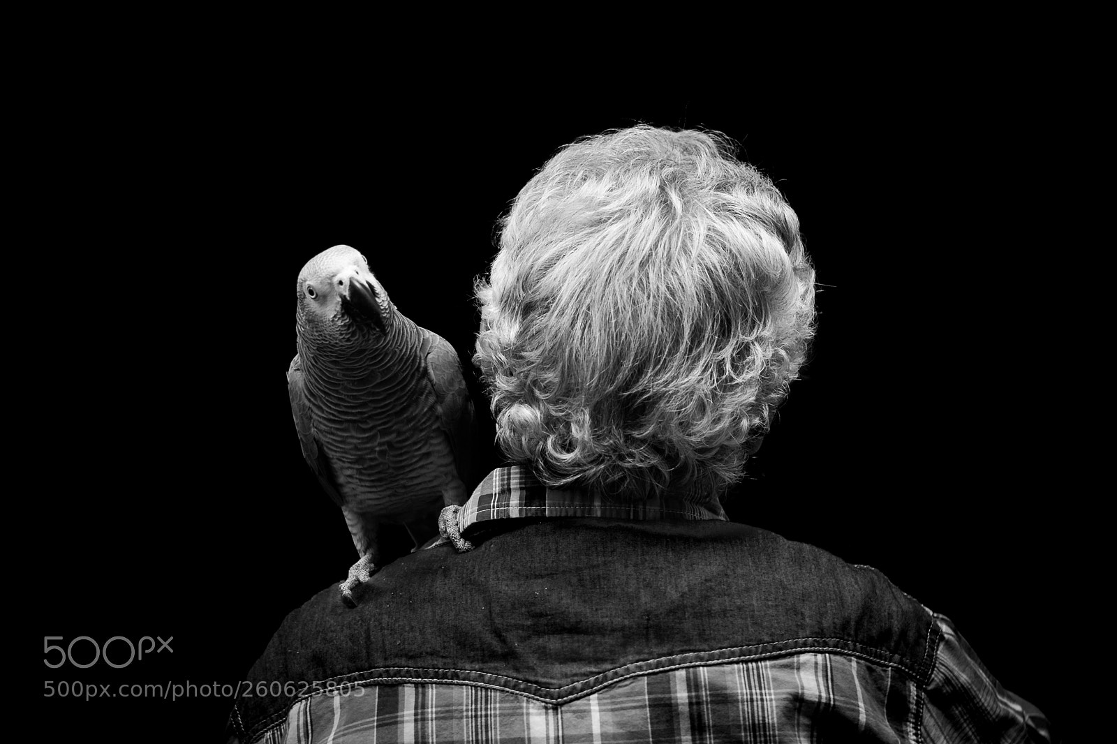 Nikon D5200 sample photo. Man and parrot photography