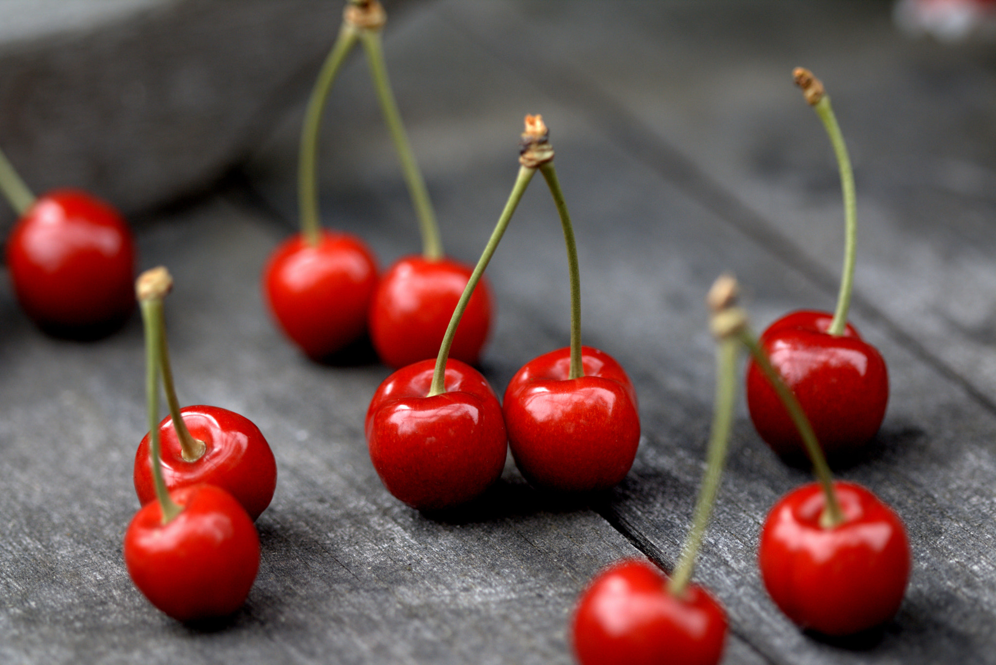 Canon EF 100mm F2.8 Macro USM sample photo. Cherry .... photography