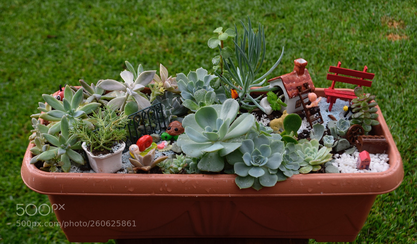 Nikon D5300 sample photo. Untitled photography
