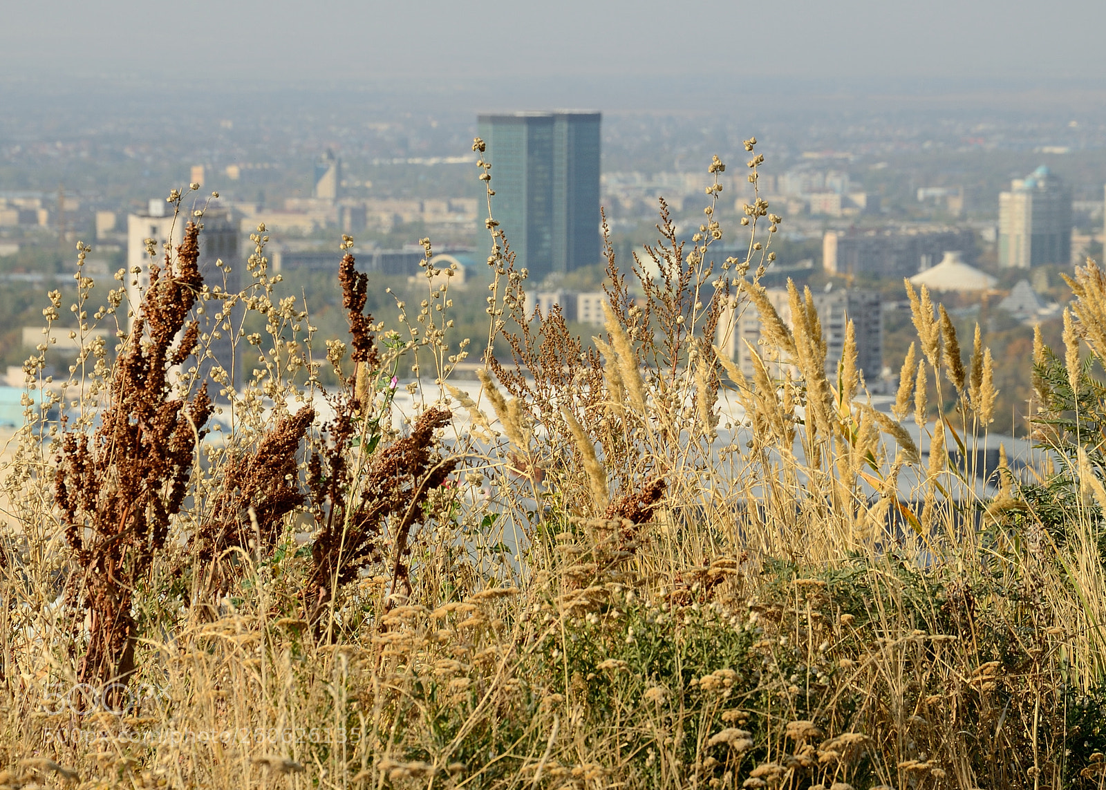 Nikon D5100 sample photo. Almaty, kazakhstan photography