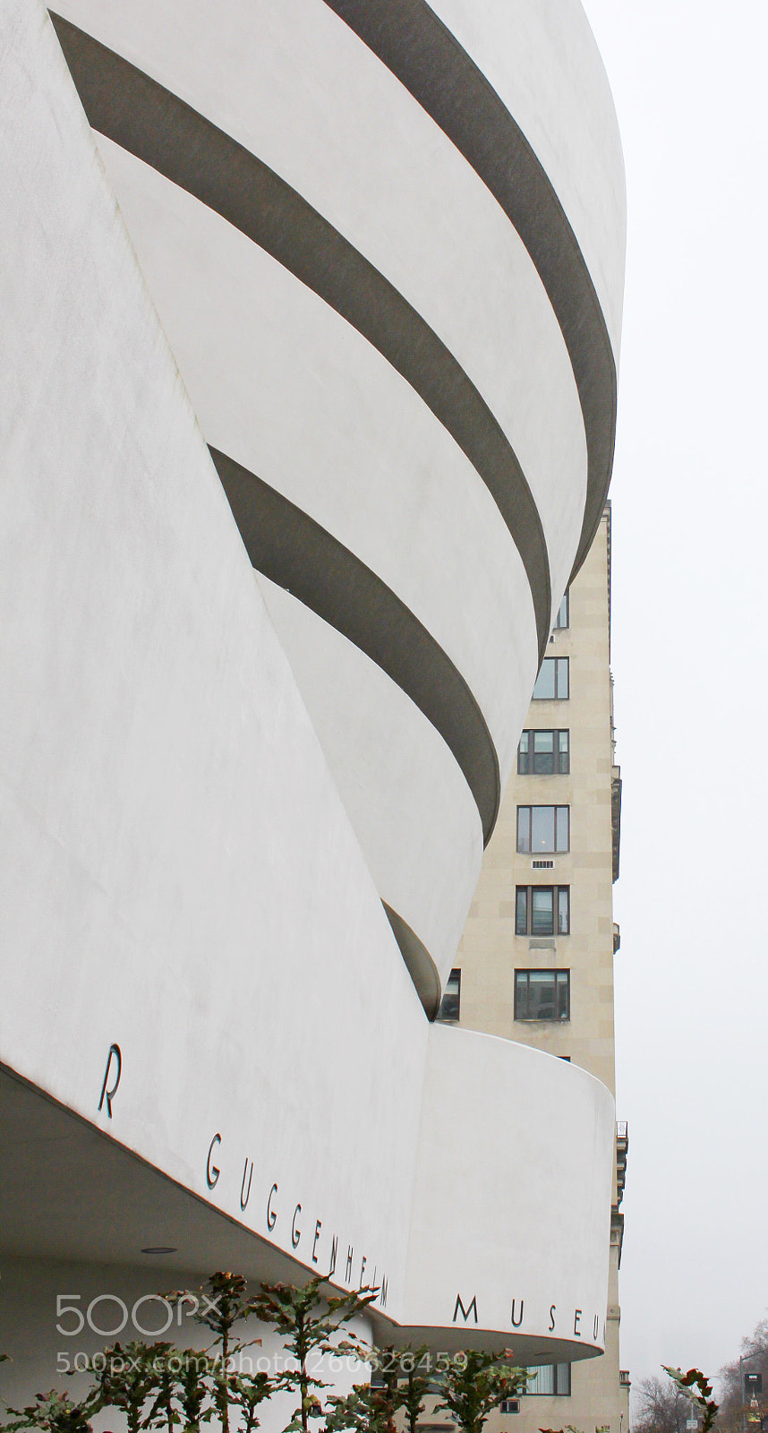 Canon EOS 500D (EOS Rebel T1i / EOS Kiss X3) sample photo. The guggenheim,
new york photography
