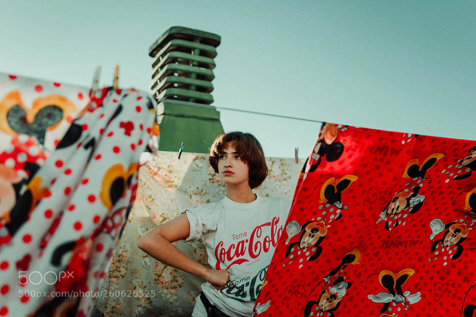 Canon EOS 6D sample photo. Vintage photography