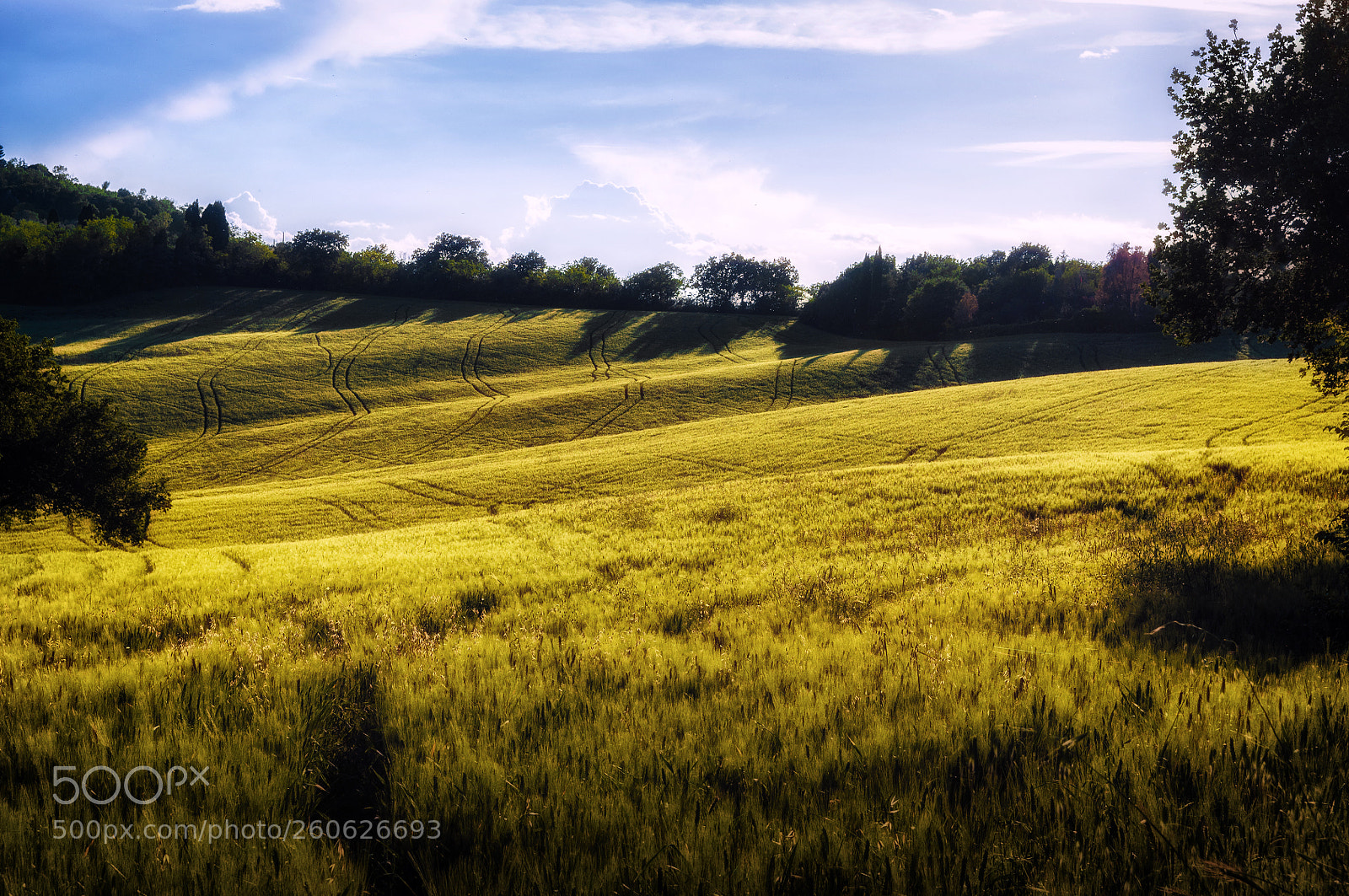 Nikon D90 sample photo. Tavullia (pu) italy photography