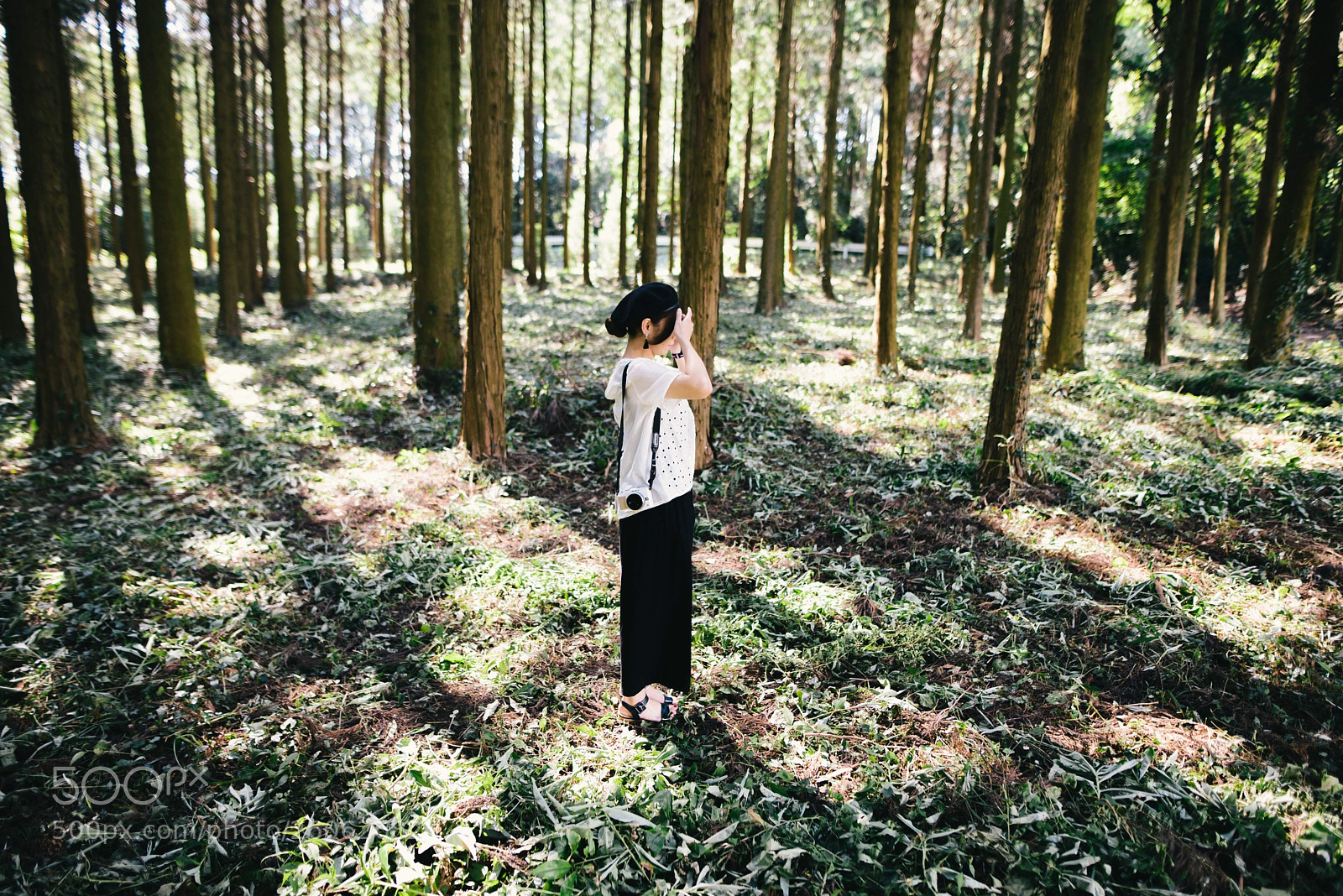 Nikon D610 sample photo. Wayatokazuya photography