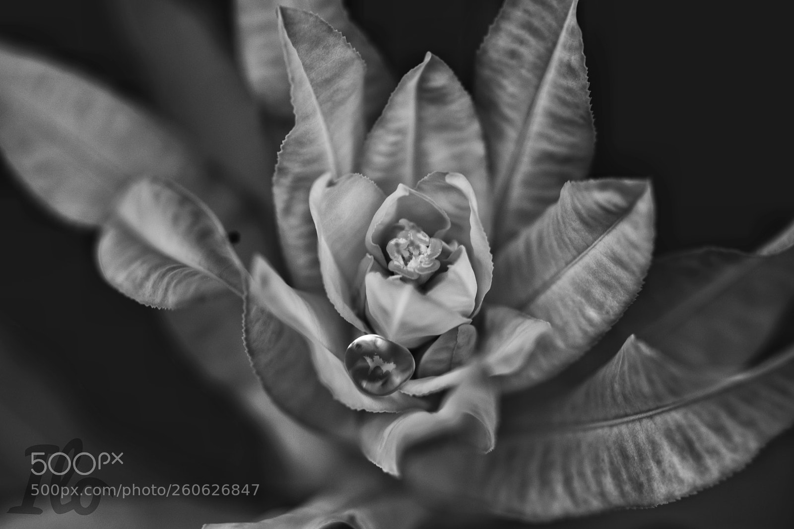 Nikon D3300 sample photo. Untitled photography