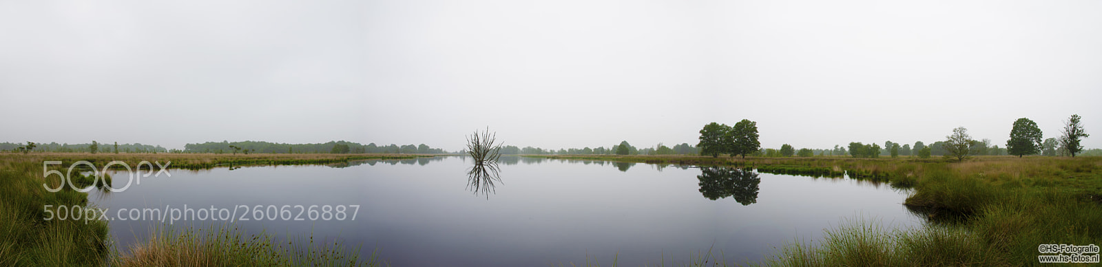 Nikon D500 sample photo. 1st panorama bargerveen photography