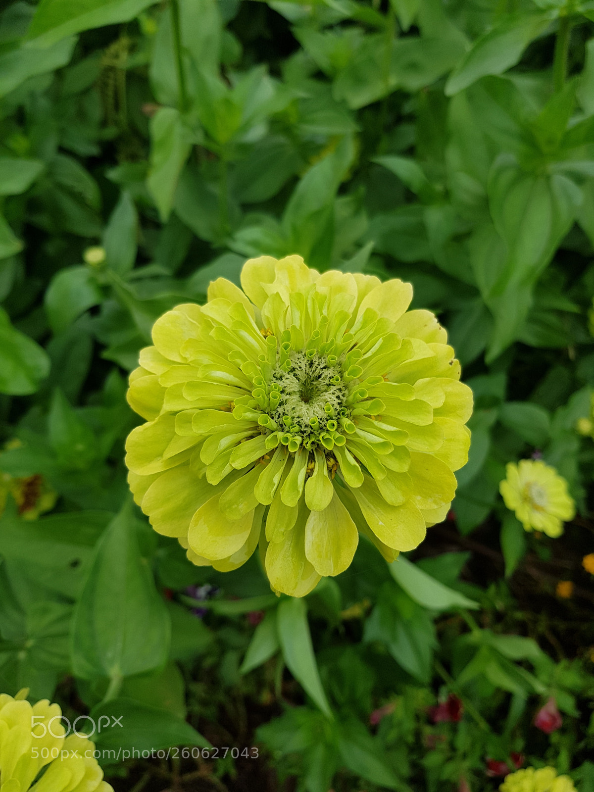 Samsung Galaxy S8 sample photo. Untitled photography