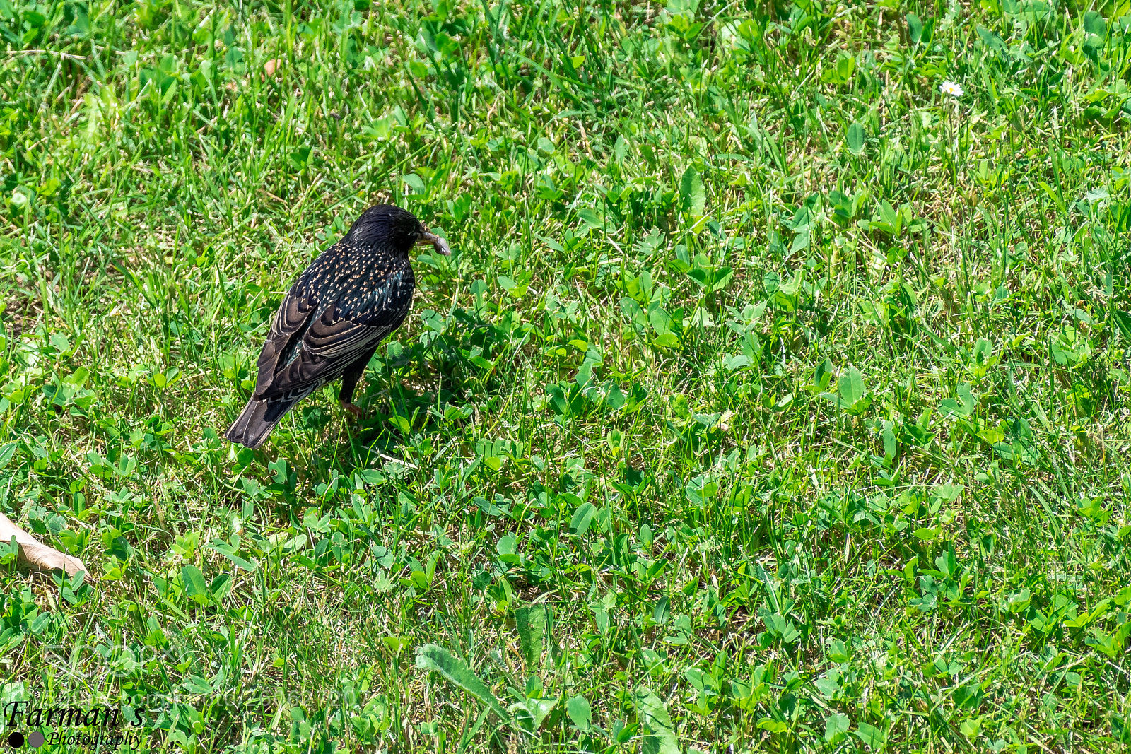 Nikon D500 sample photo. Rome visit may to photography