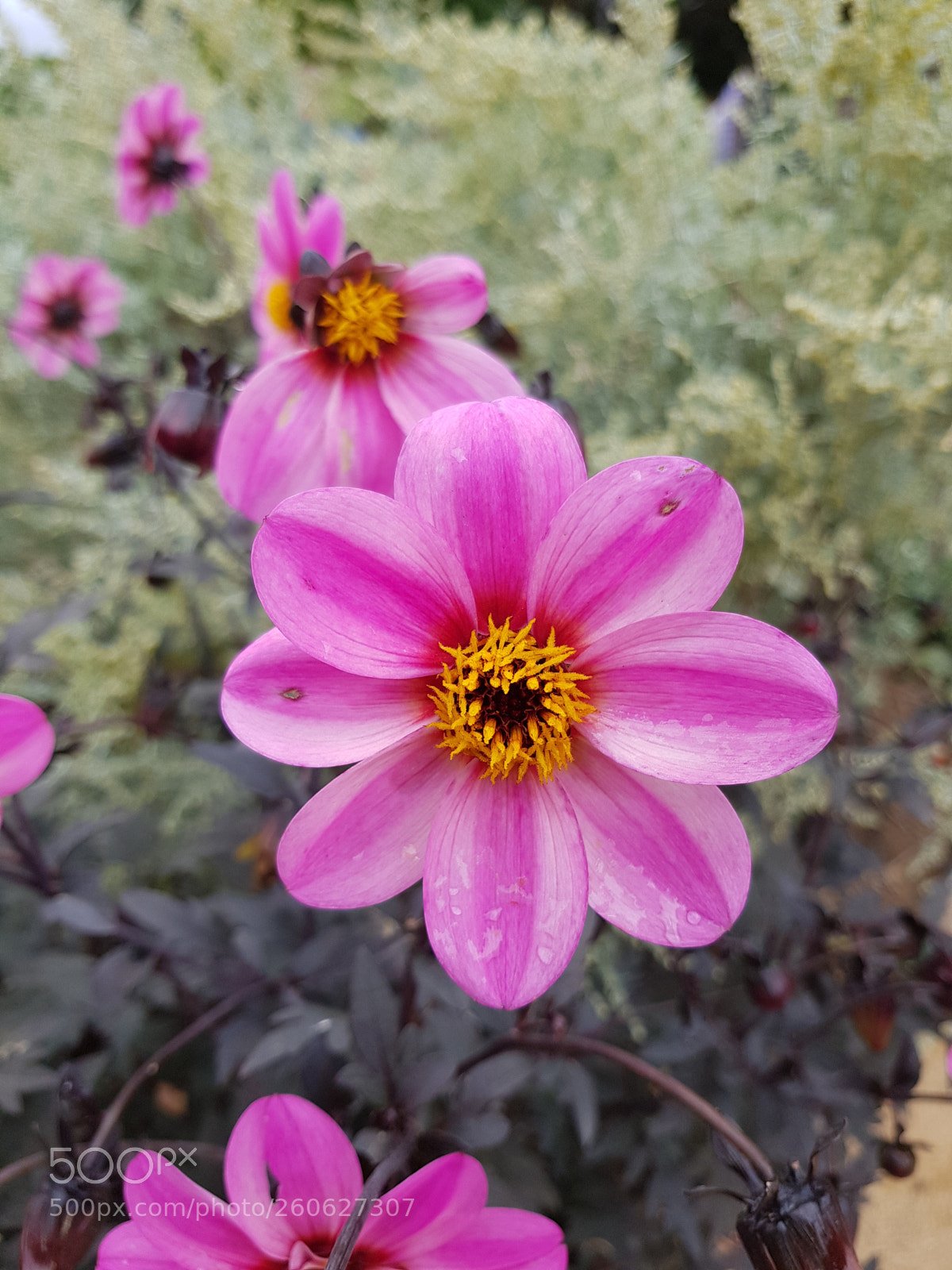 Samsung Galaxy S8 sample photo. Untitled photography