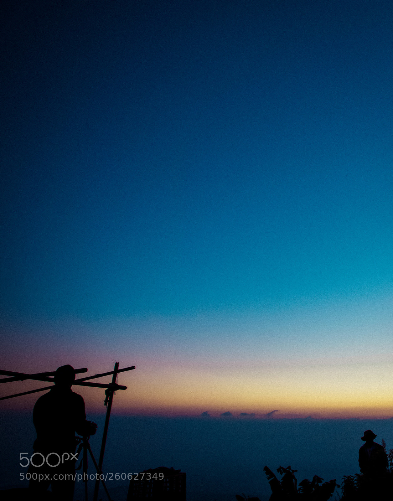 Sony SLT-A77 sample photo. Silhouette - backlight 4 photography