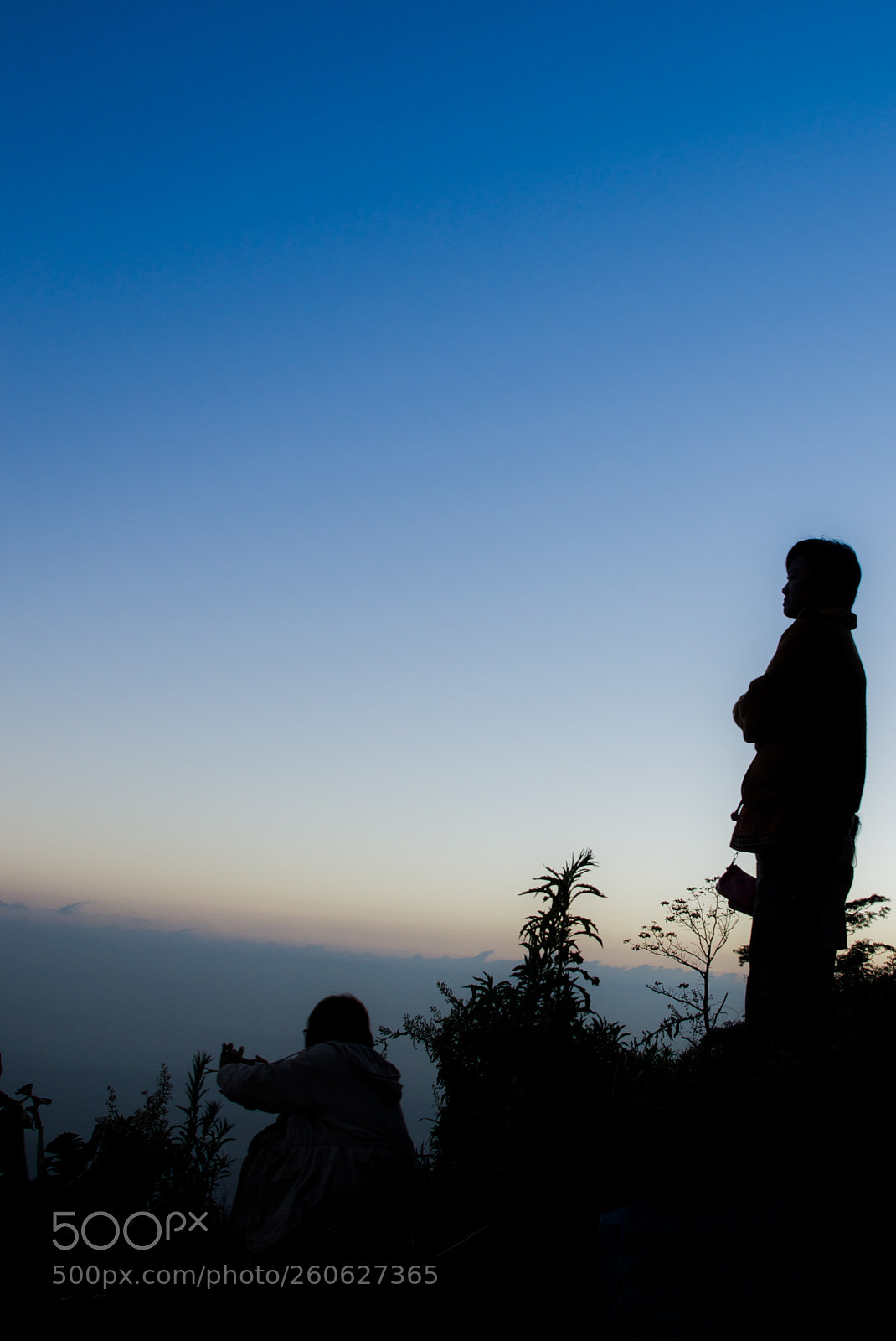 Sony SLT-A77 sample photo. Silhouette - backlight 5 photography