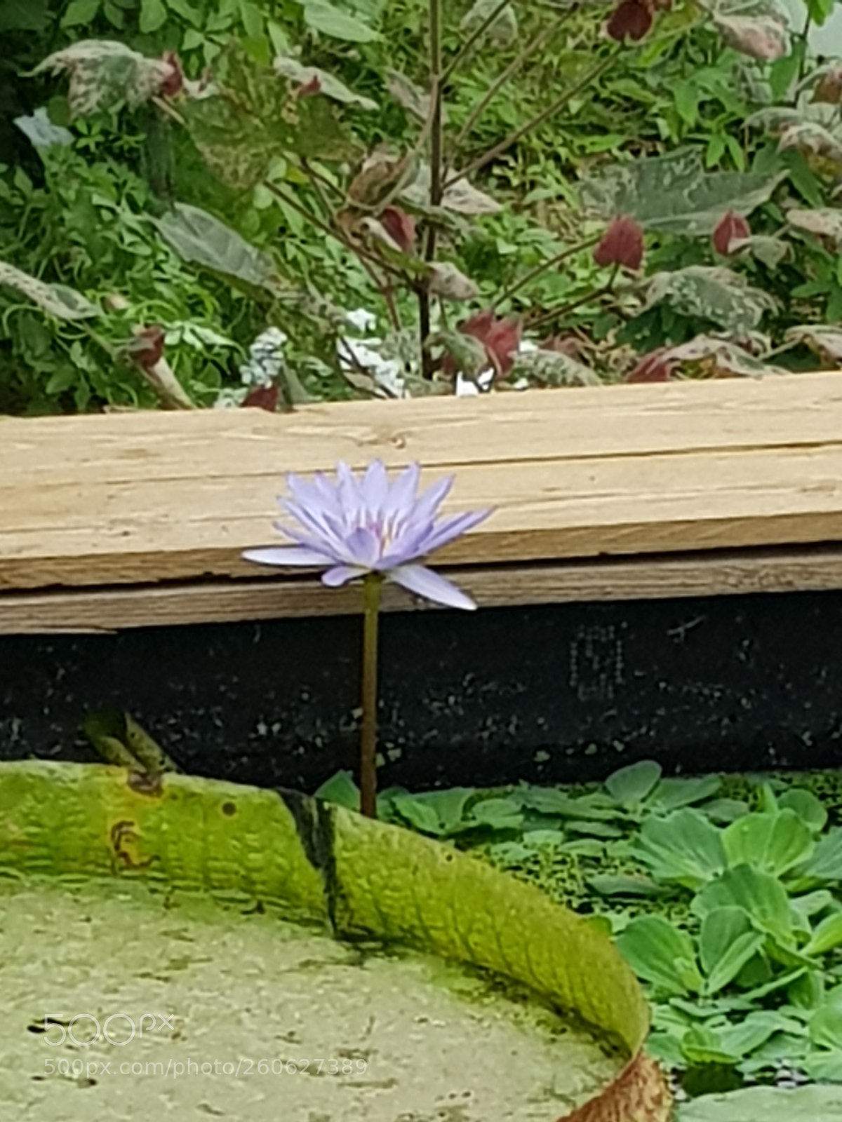 Samsung Galaxy S8 sample photo. Untitled photography