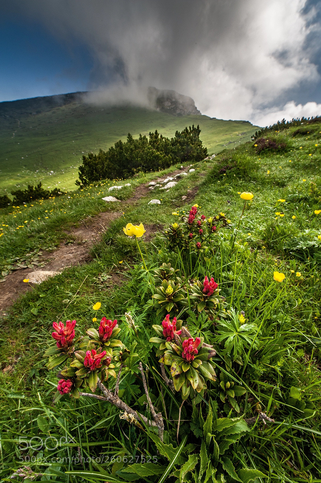 Nikon D700 sample photo. Monte stivo
arco
trentino photography