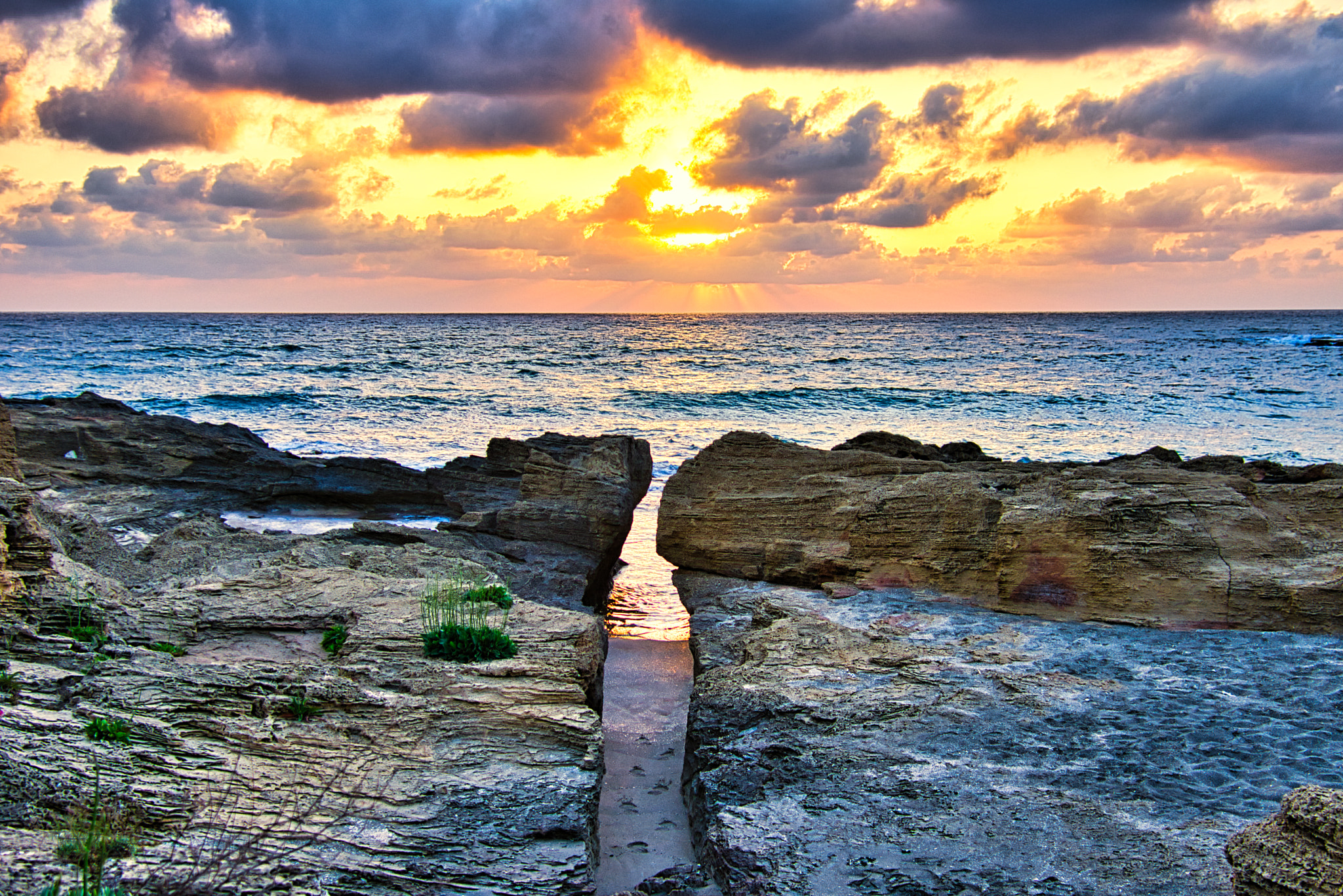 Nikon D7200 + Nikon AF-S Nikkor 24-120mm F4G ED VR sample photo. Nature reserved hof habonim.2 photography