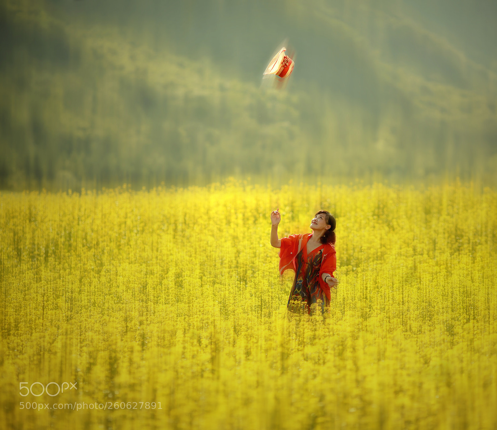 Canon EOS 5D Mark II sample photo. The dancing red straw photography