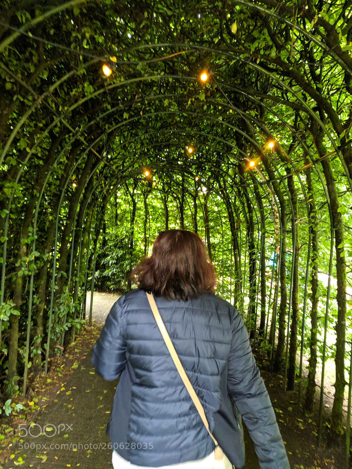 Google Pixel sample photo. Fairy arch photography