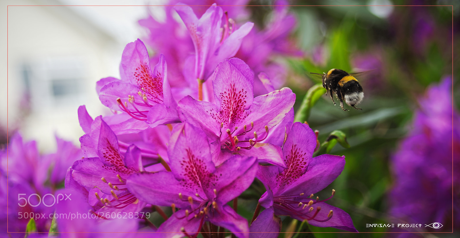Sony a7R sample photo. Bravo echo echo cleared photography